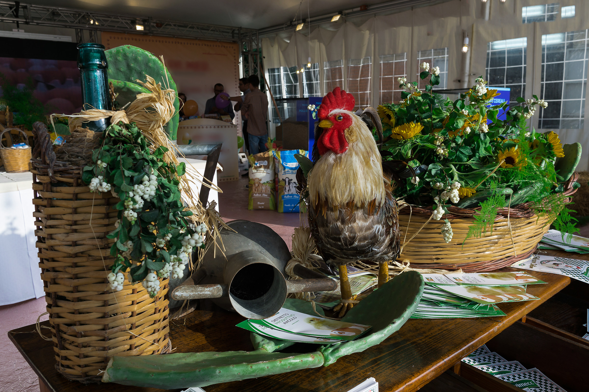 before the rooster singles three times ... you're done f...