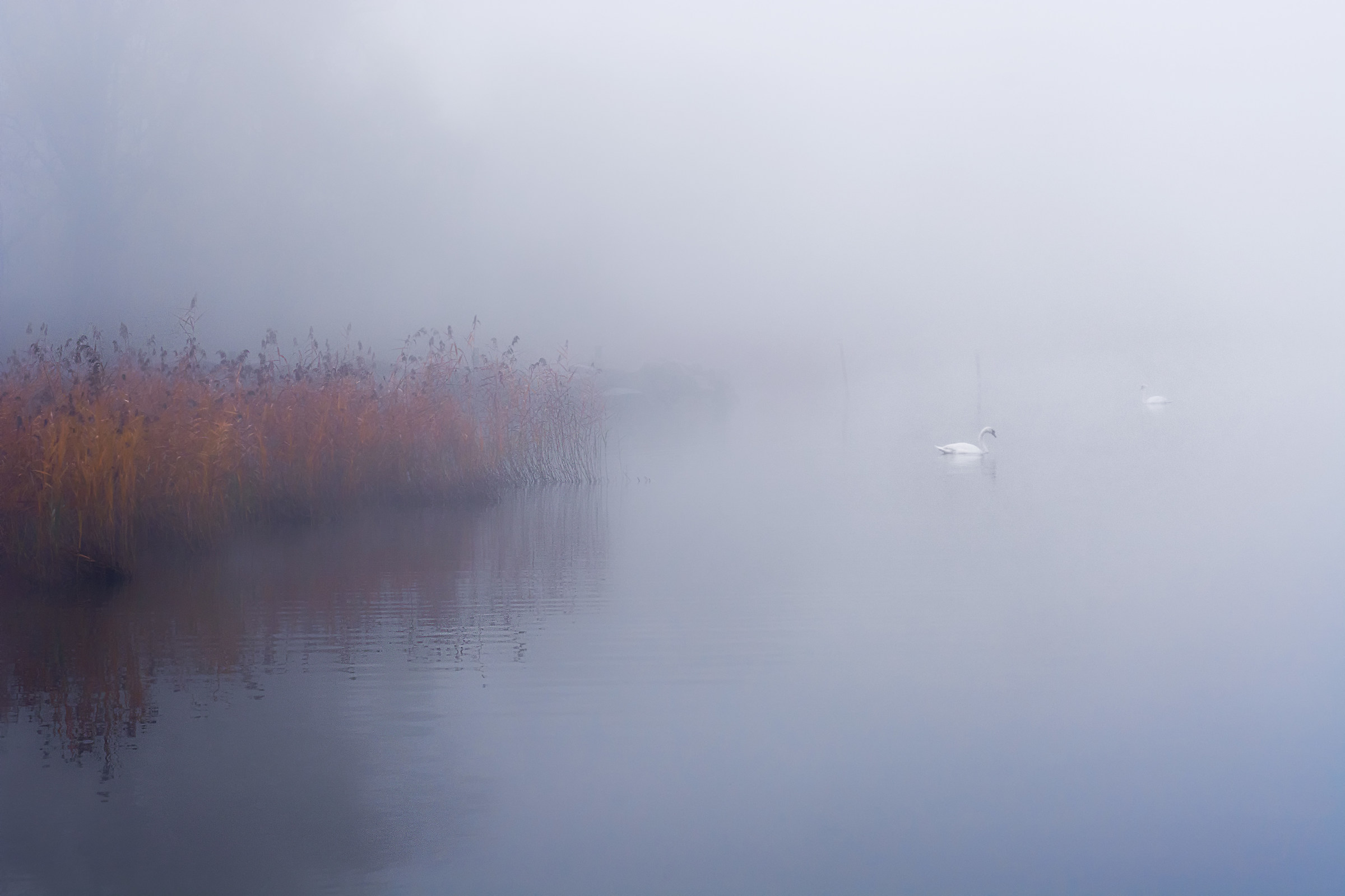 Novembre sul lago di Varese