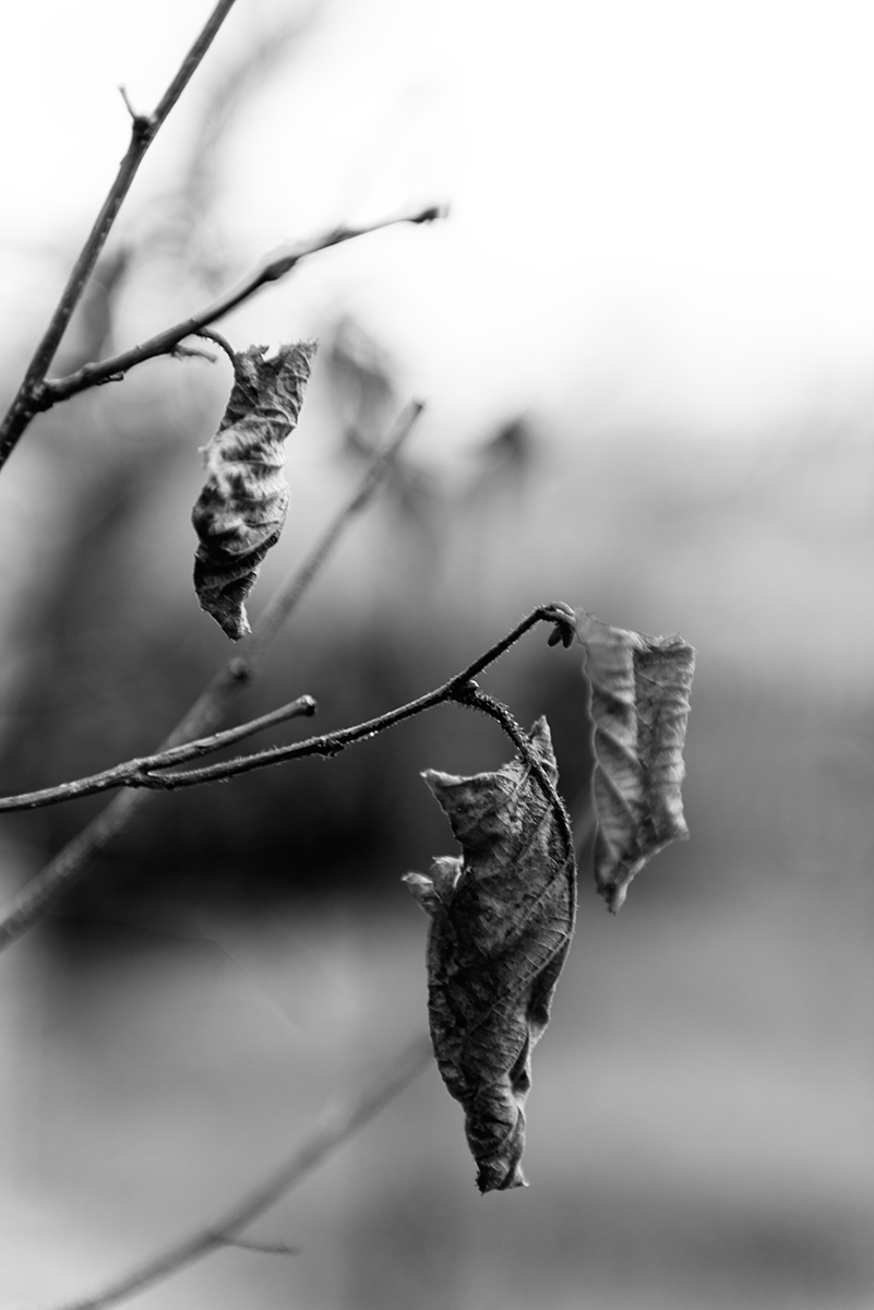 Uncertainty and fragility