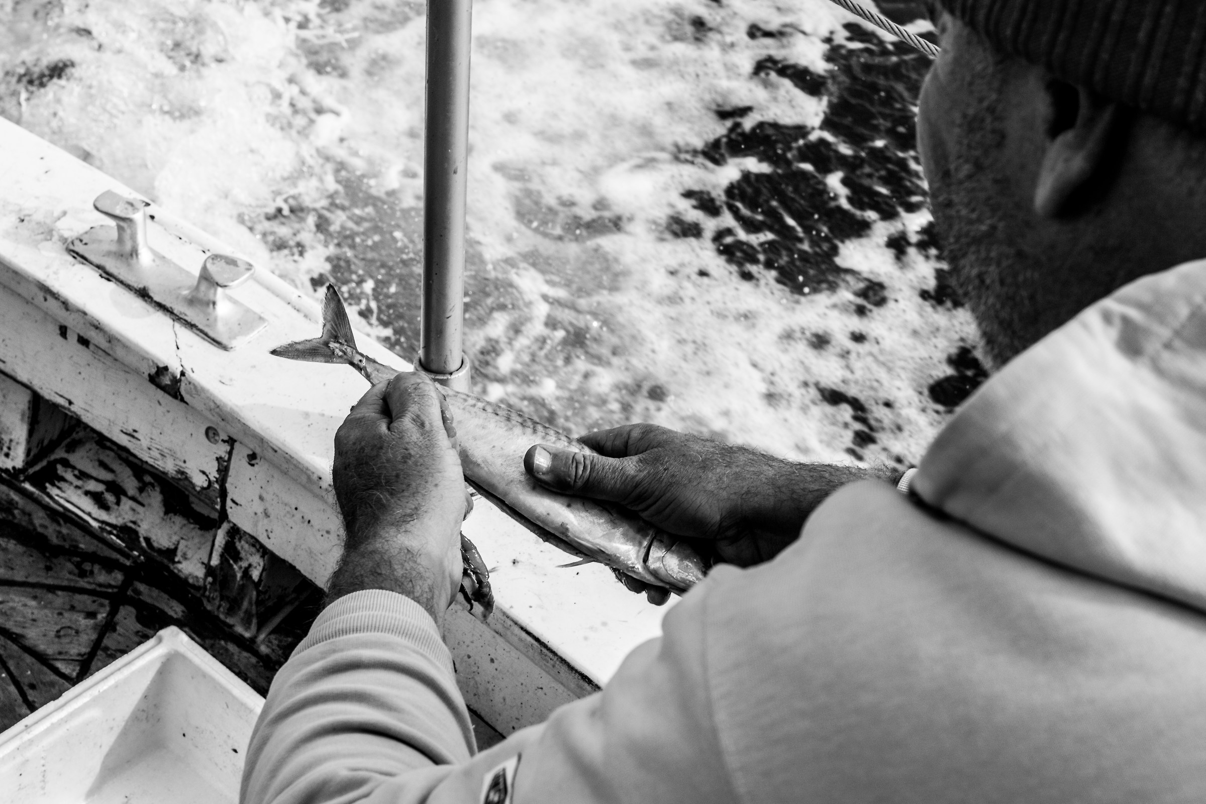 Pescatori di una vita