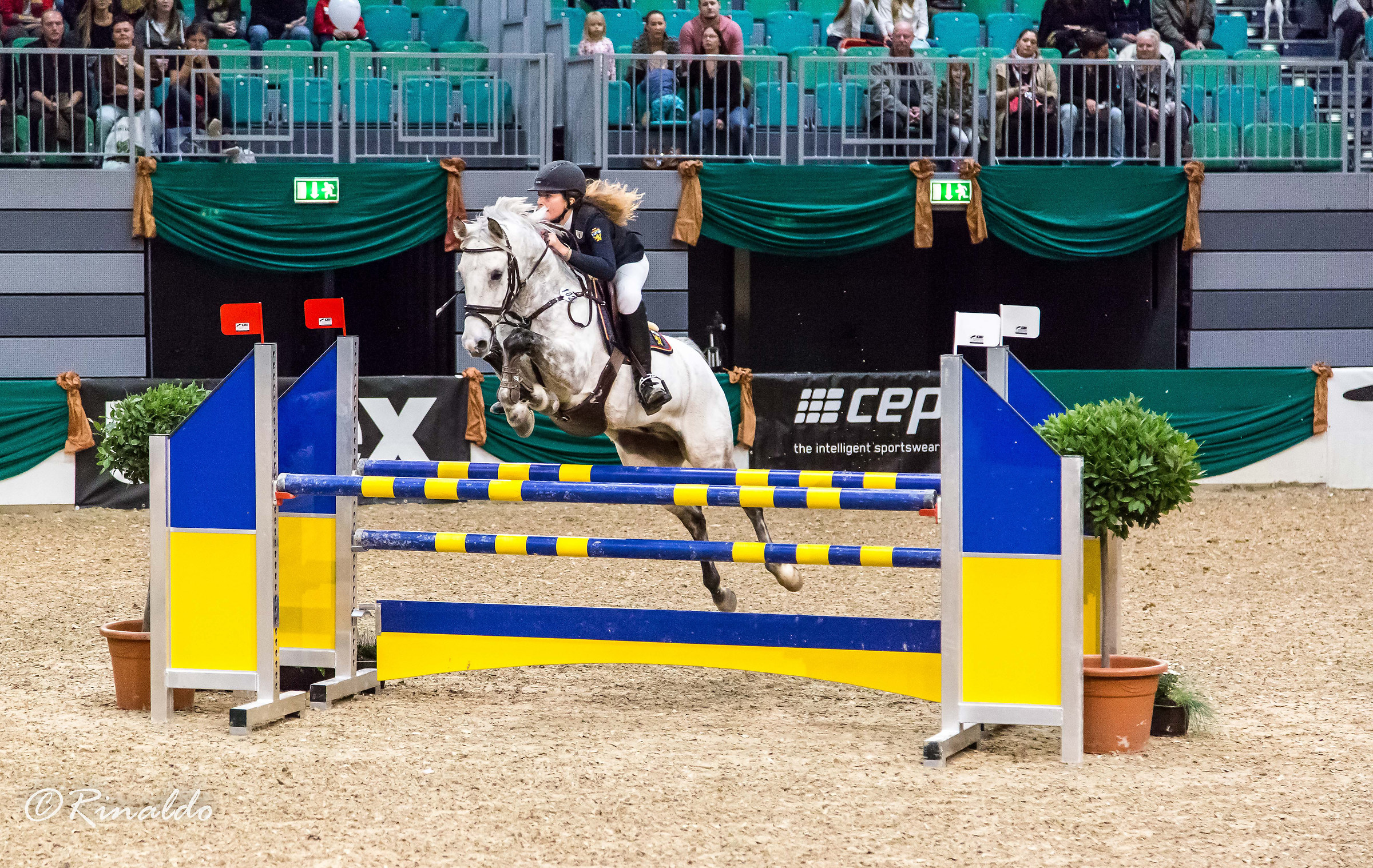 È meglio di darsi all'ippica.