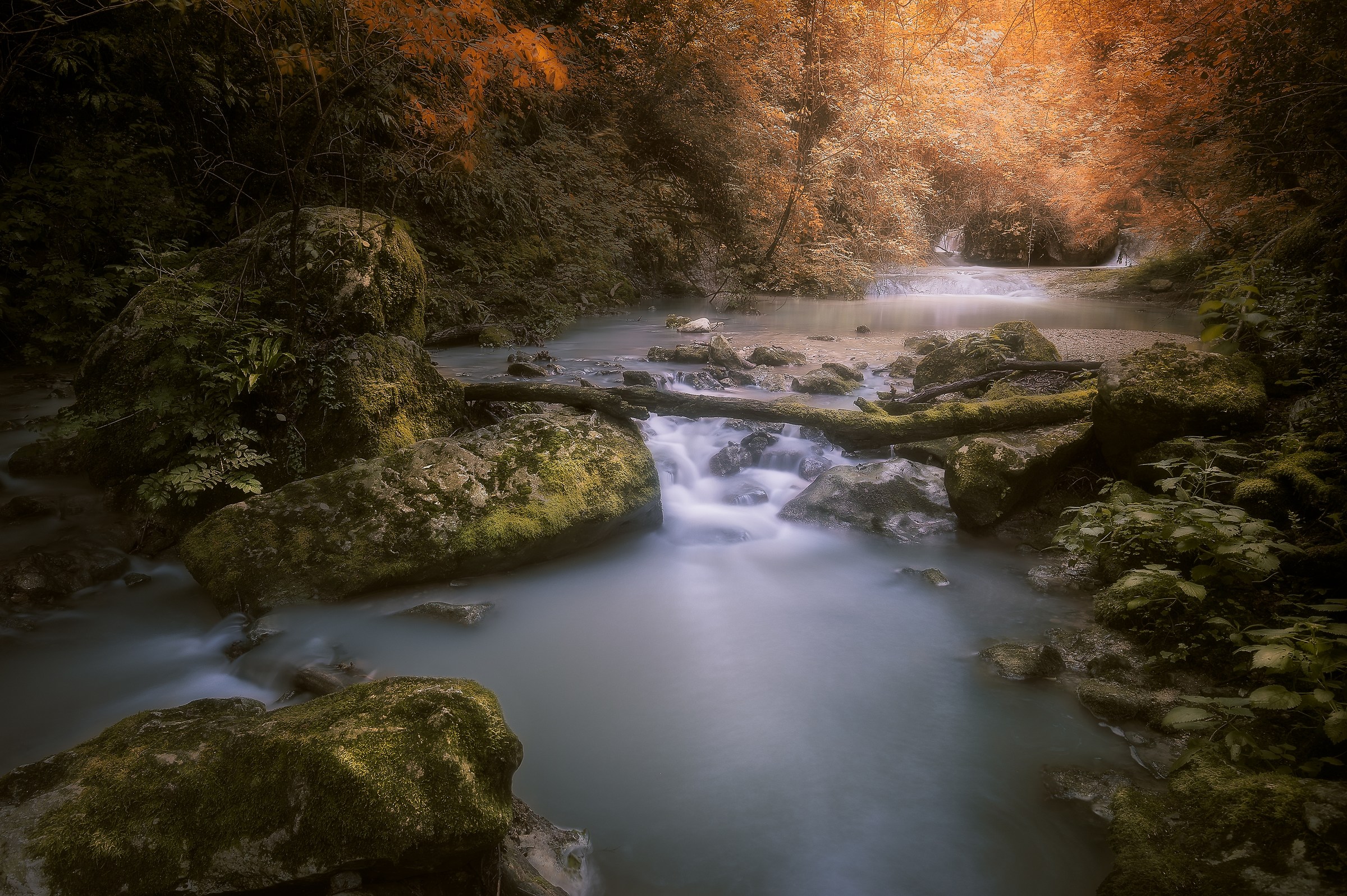 Between lights and shadows