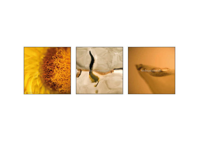 Acqua e sole (Trittico)