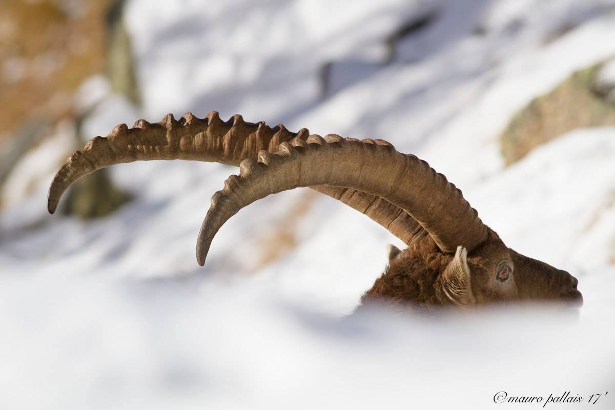 winter has arrived...