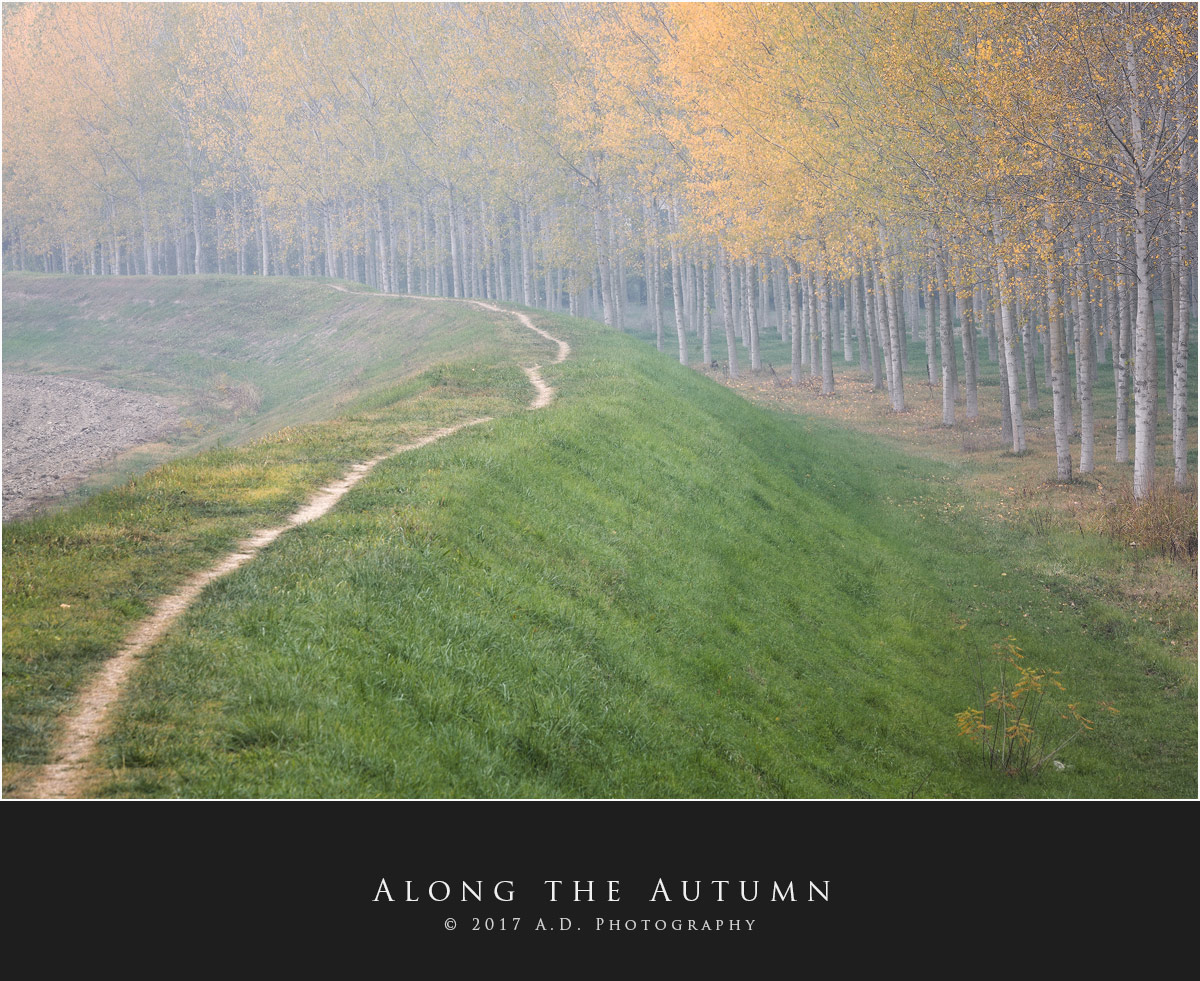 Along the Autumn
