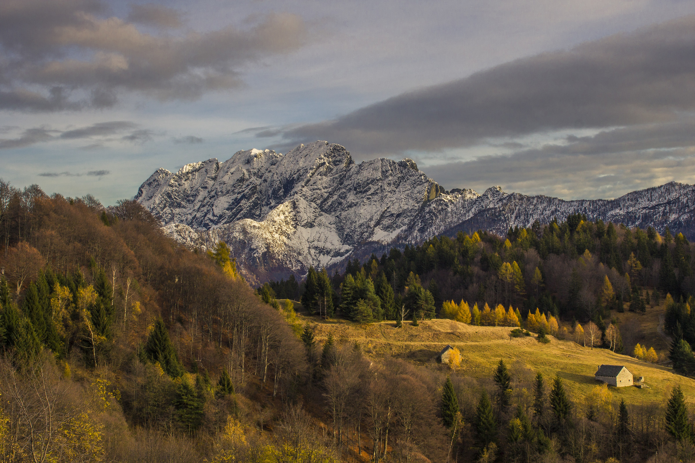 In mid-autumn and winter