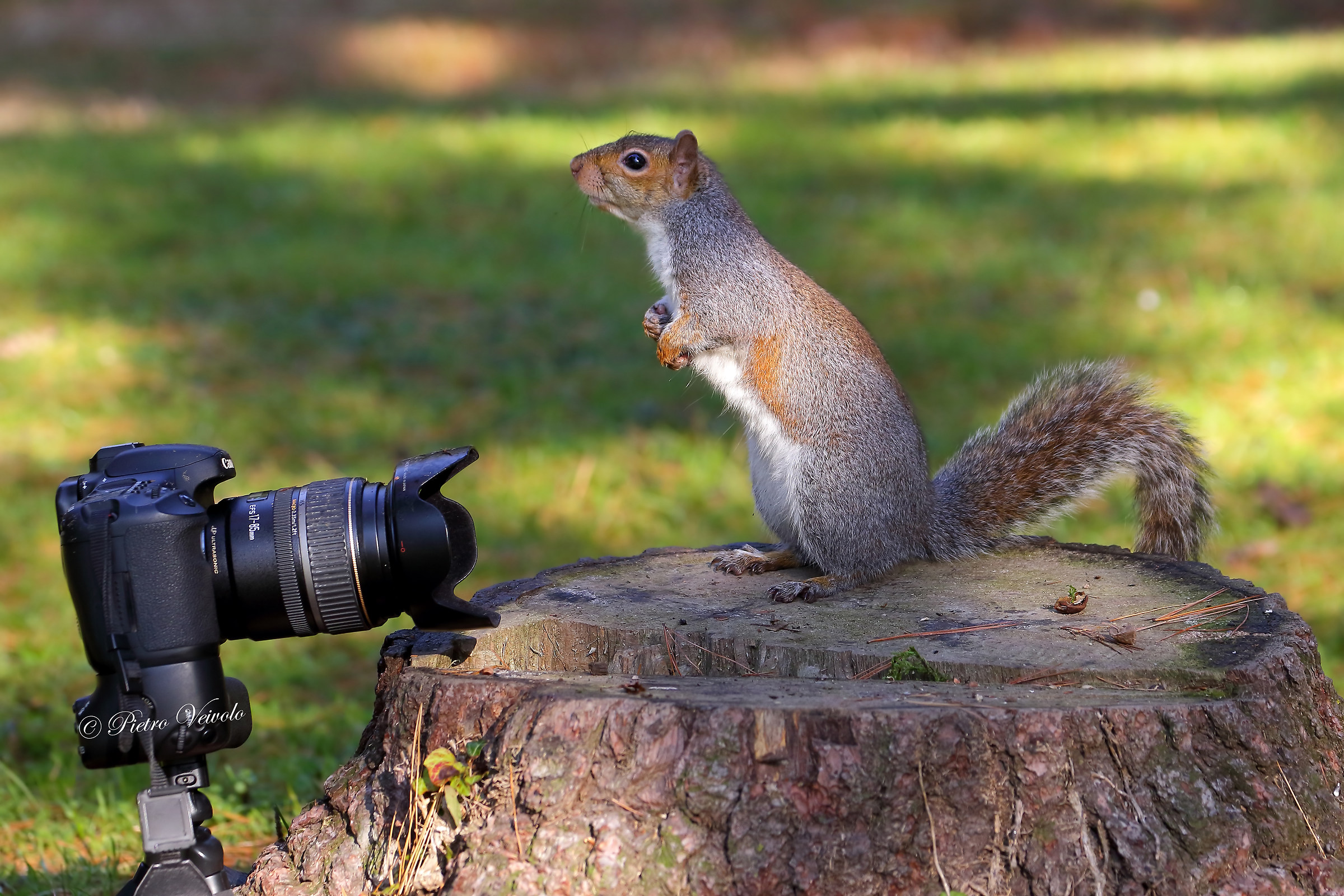 Selfie