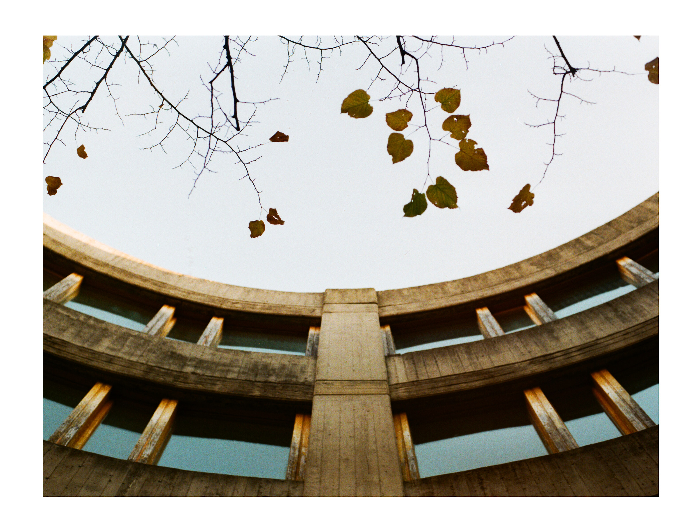 "Nature against structure"