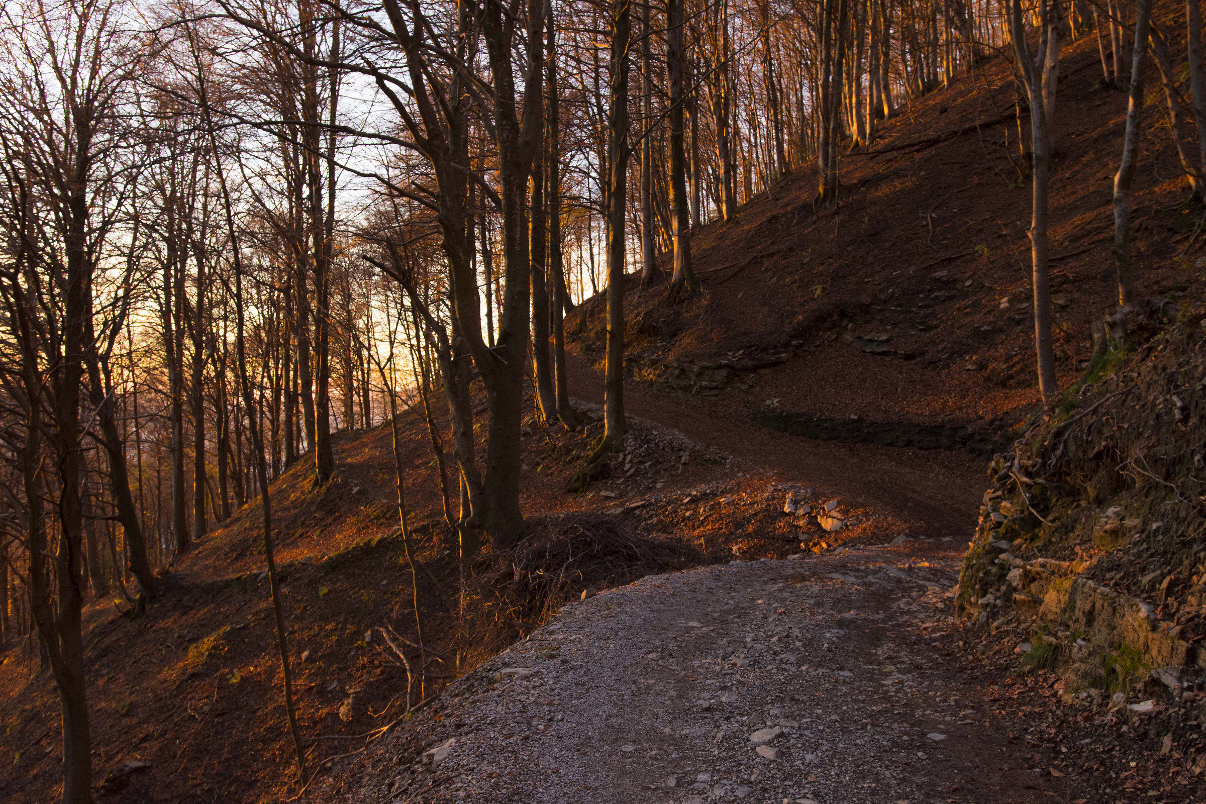Dawn on the slopes of Resegone