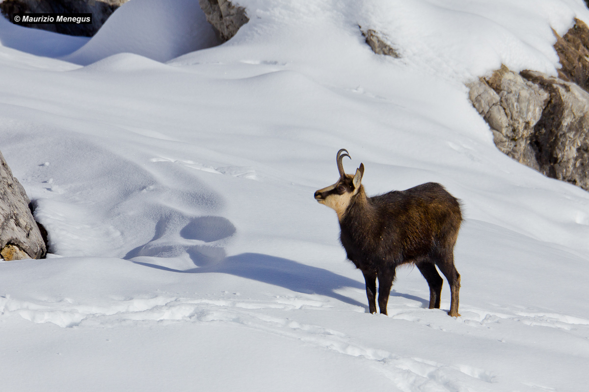 Male jacket in the period of loves
