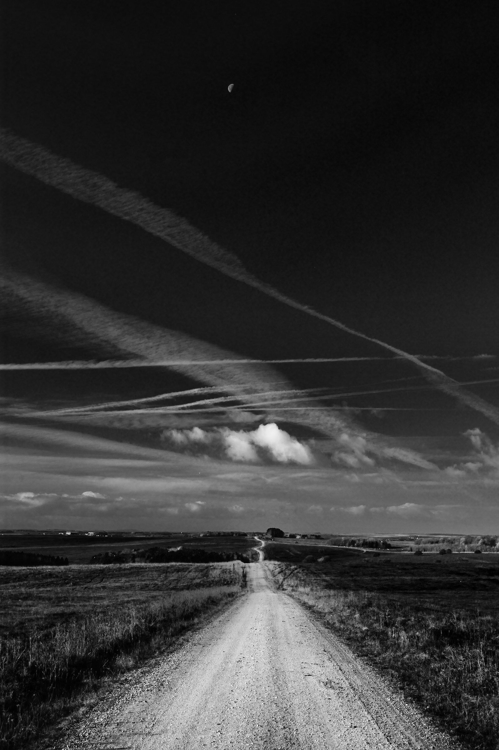 My Long Walk to the Moon