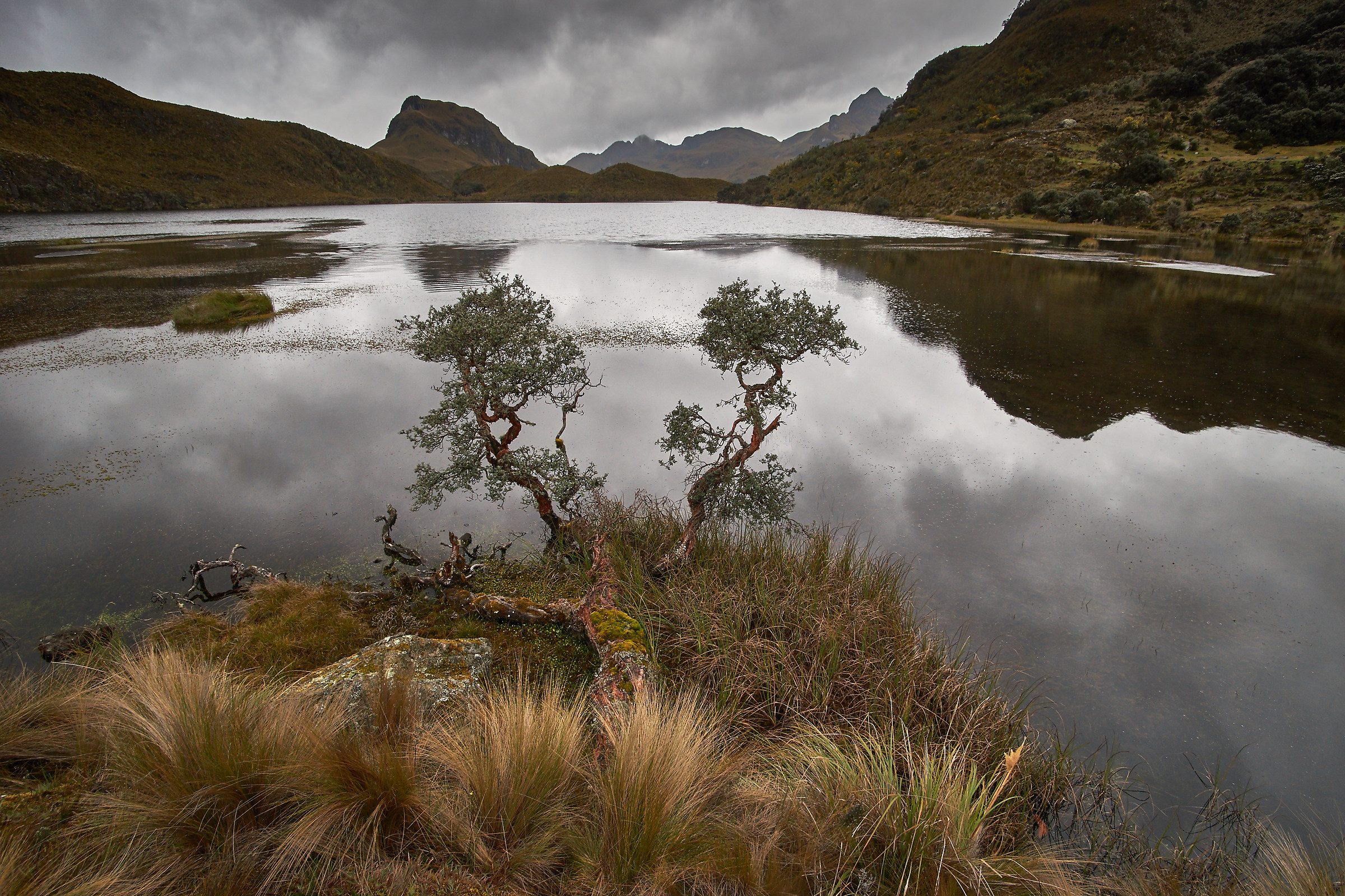 Parco Nazionale El Cajas