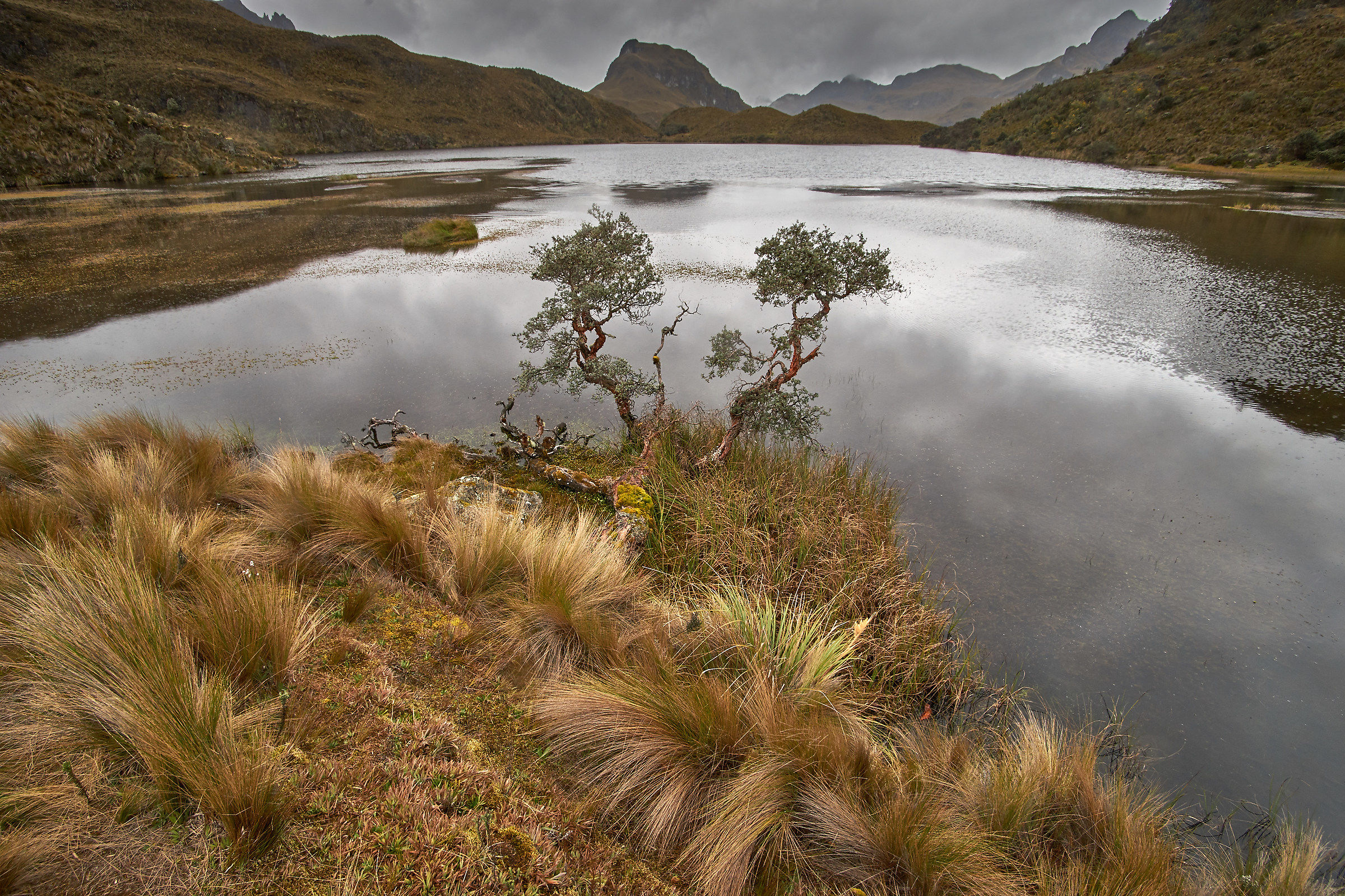 El Cajas National Park