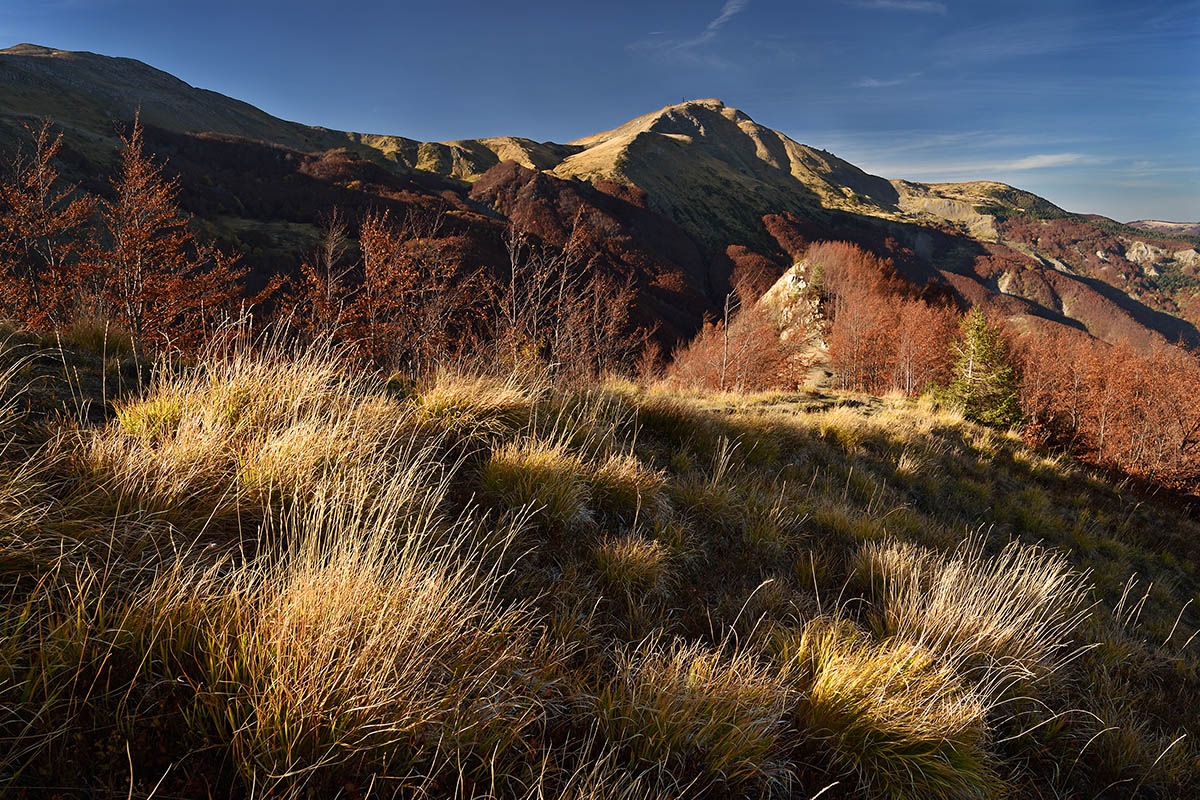 The Cimone from the Lace of the White Sassi