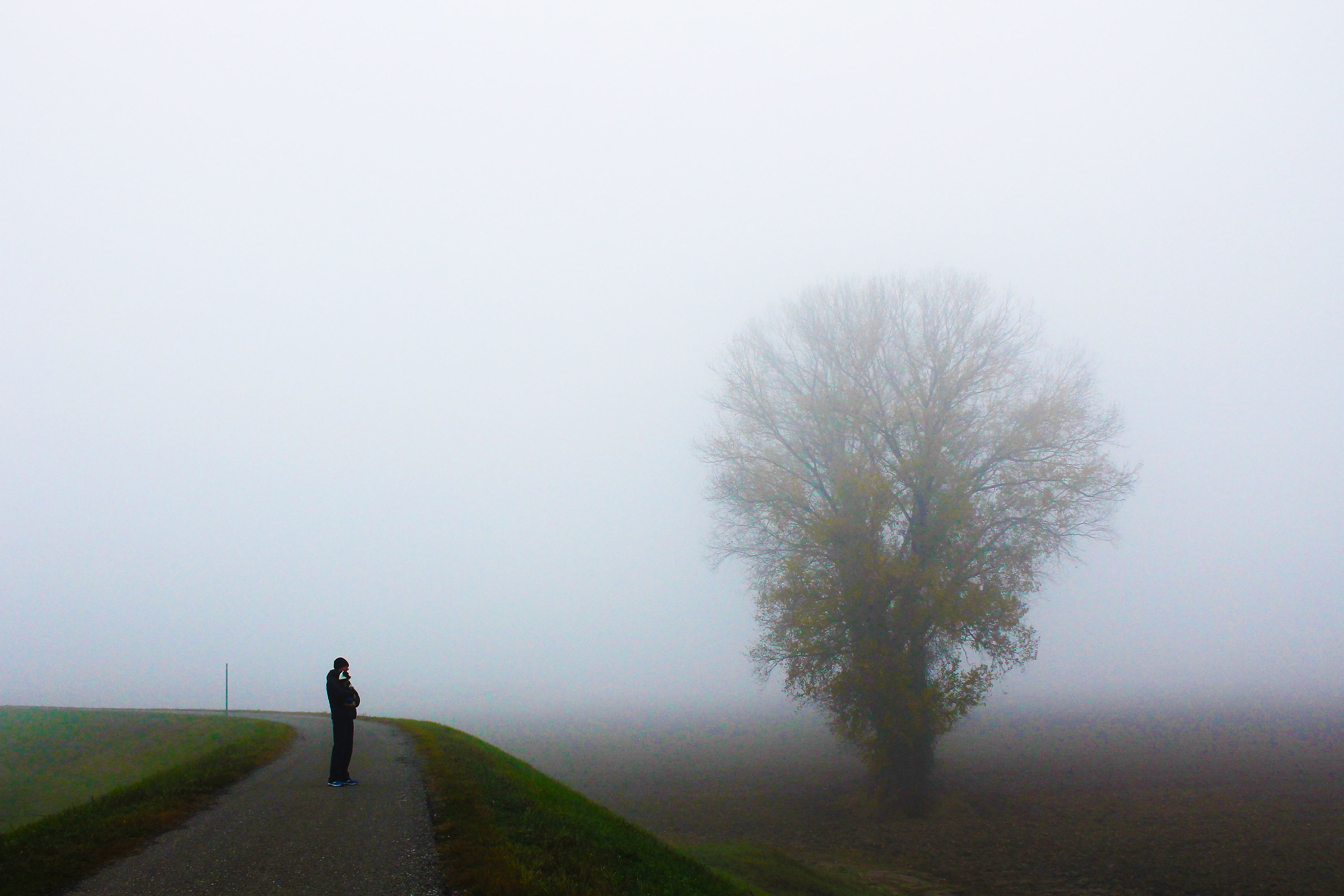 silhouettes in the fog