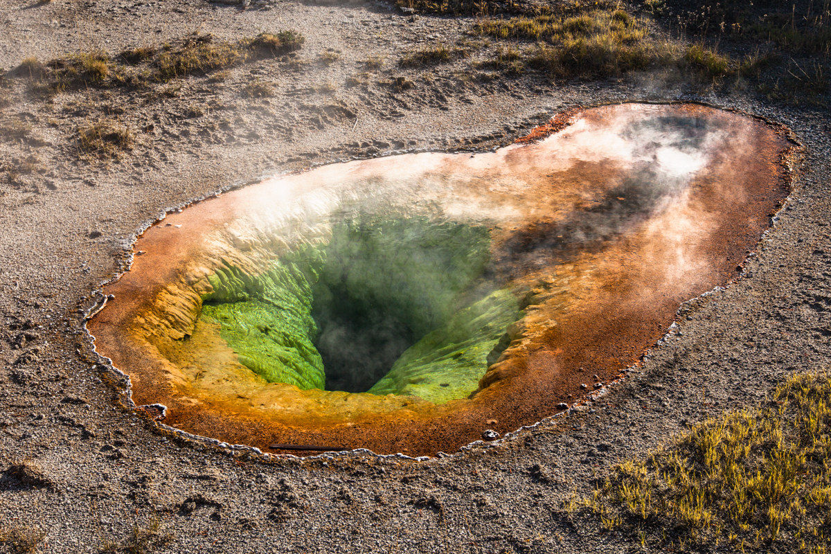 Belgian Pool / Oyster Spring