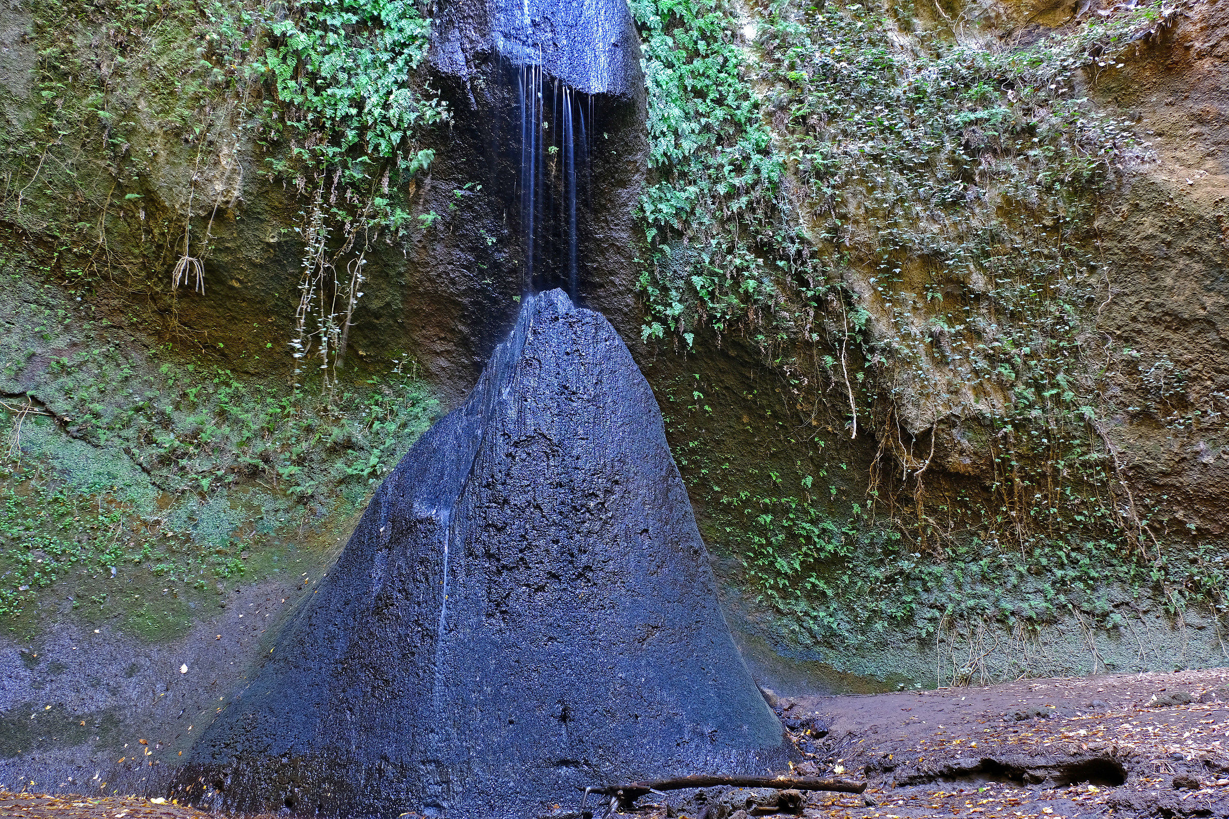 un'opera della natura