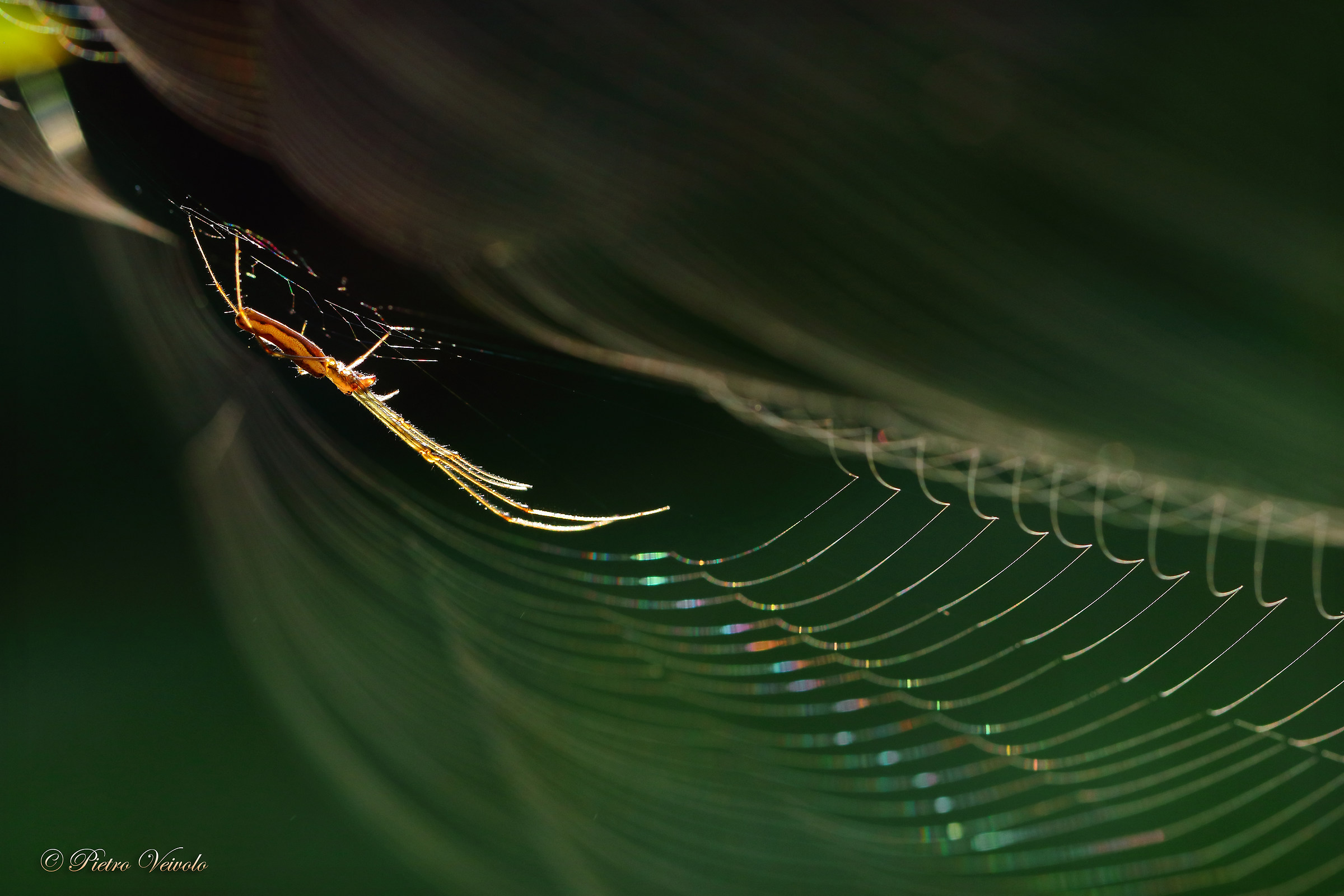 At the bottom of the tunnel