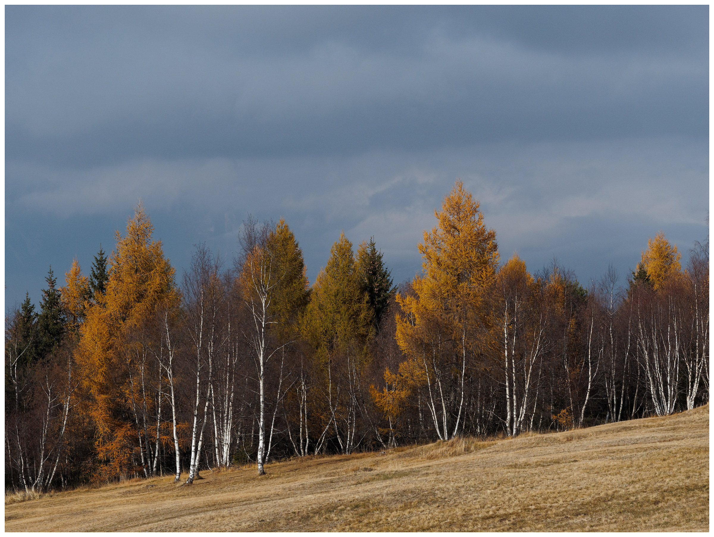 luci e colori d'autunno