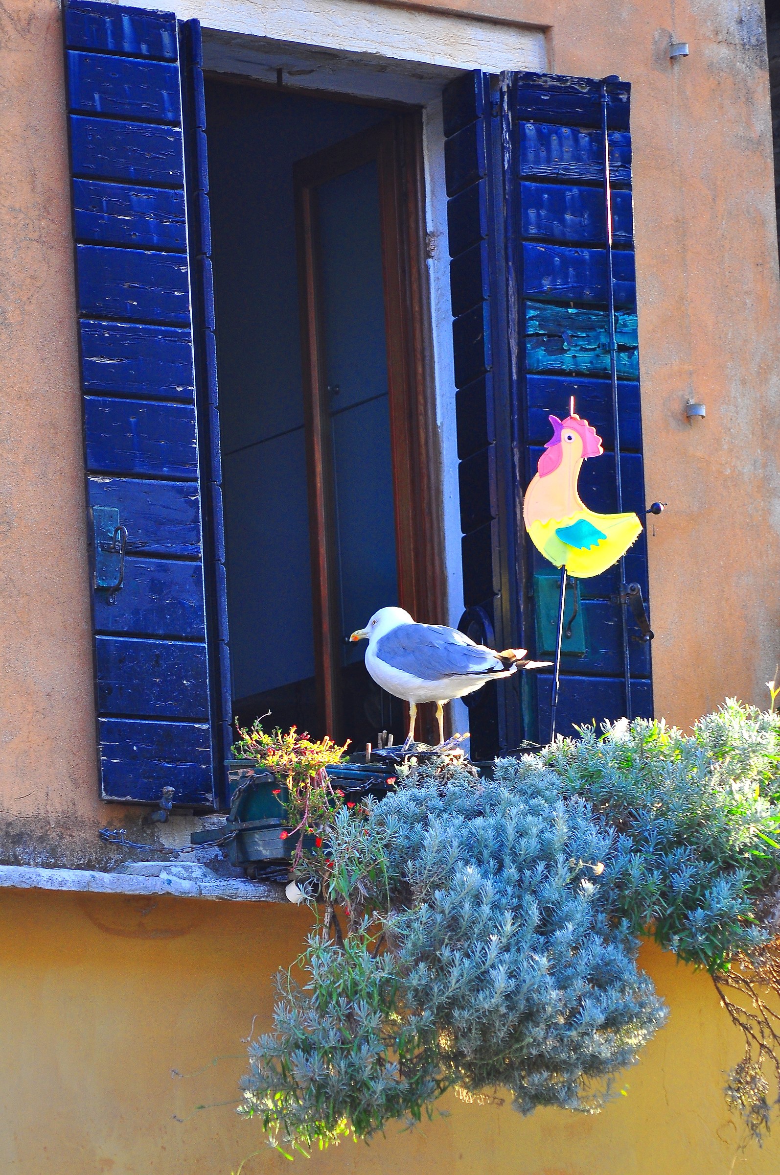il gabbiano a tavola