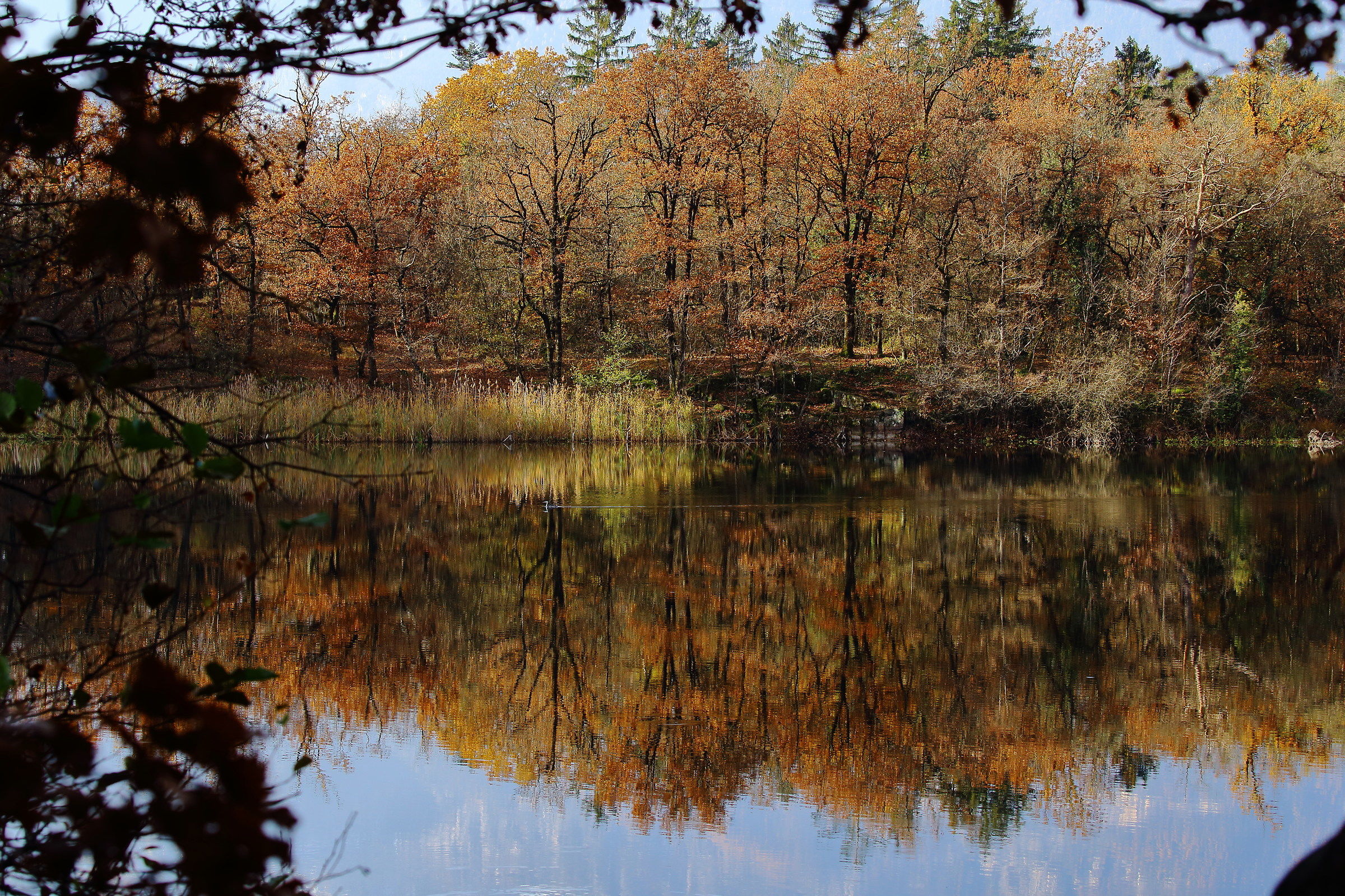 Autunno a Monticolo (lago piccolo)