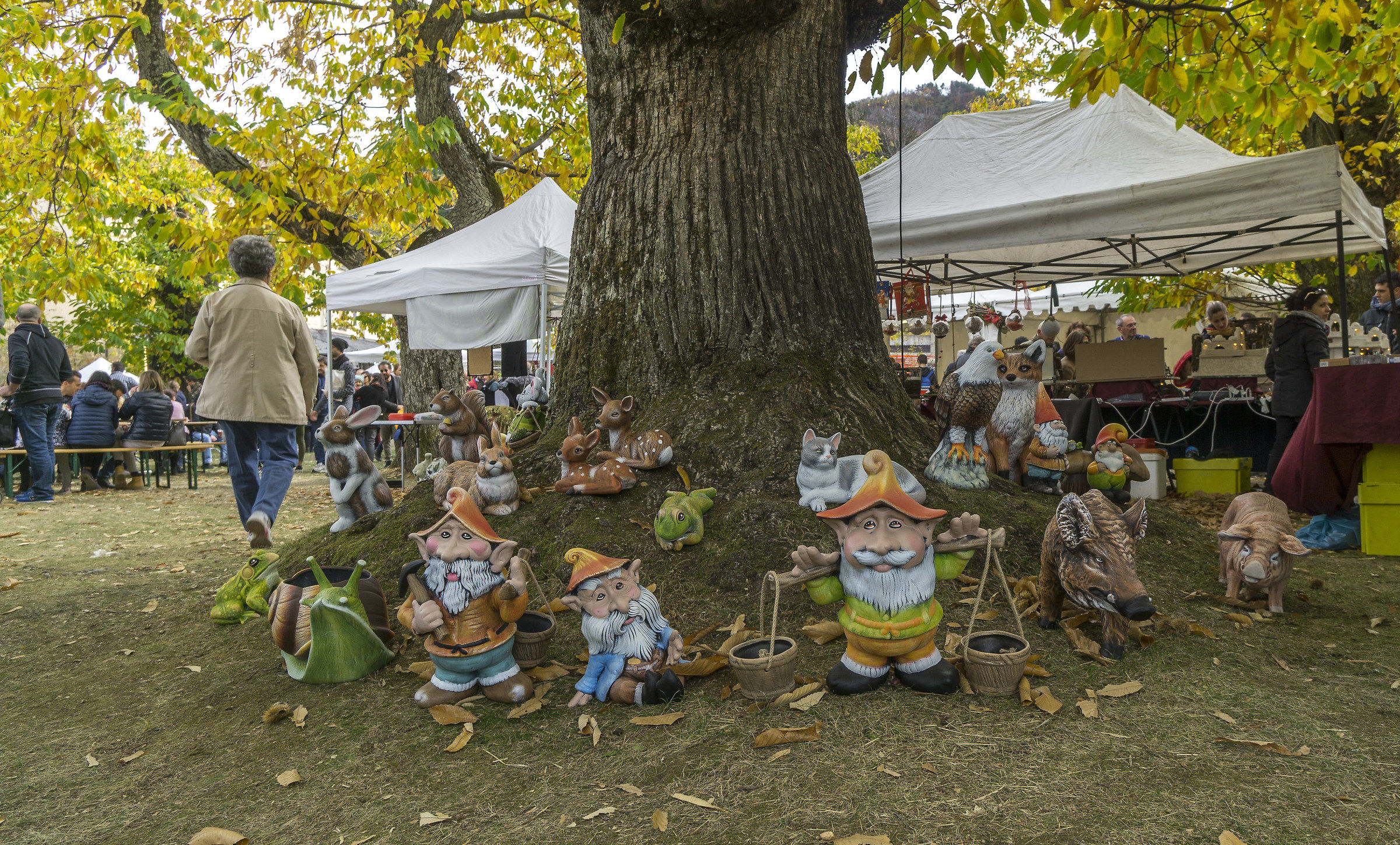 Gli abitanti del castagneto