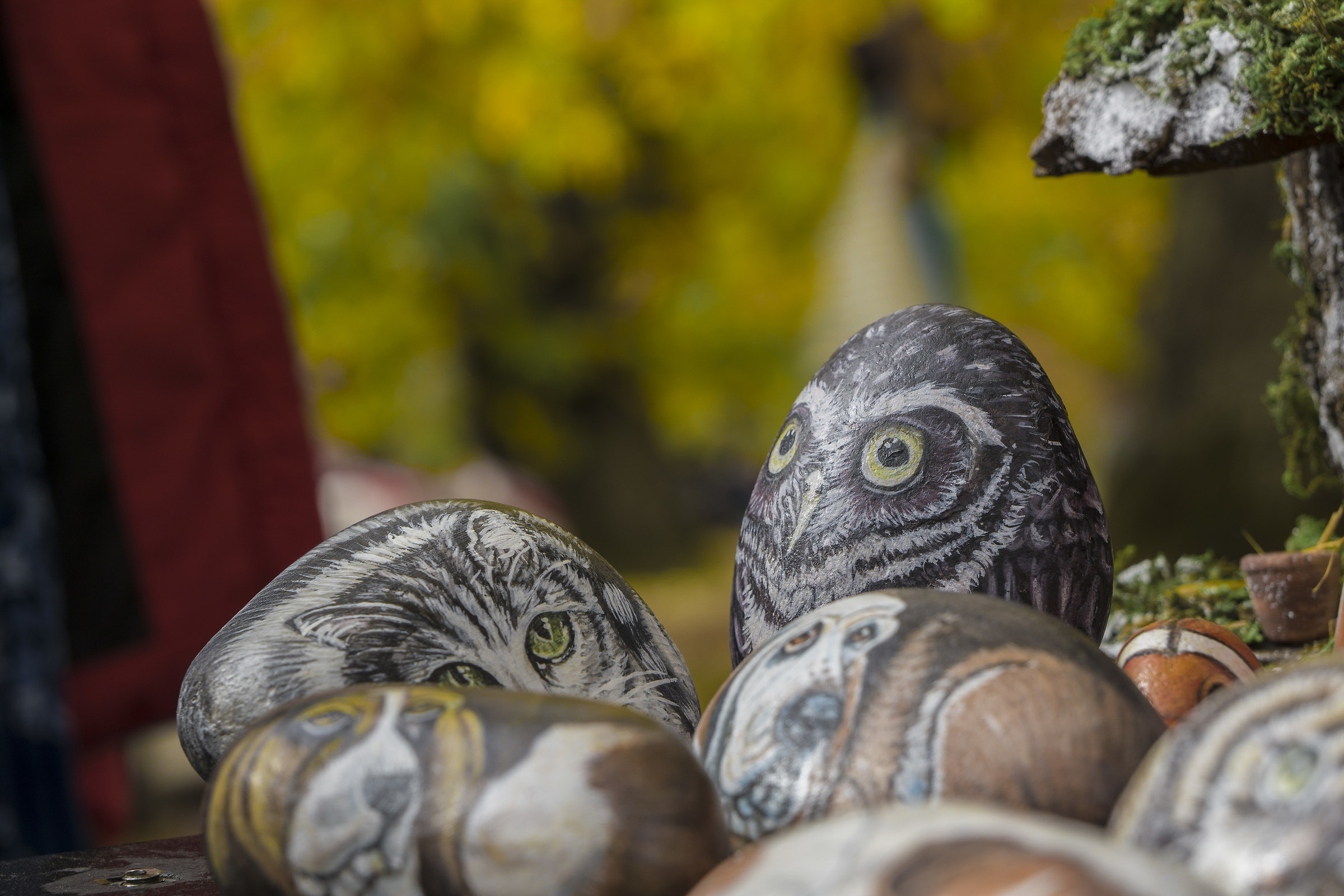 Muto come un sasso...