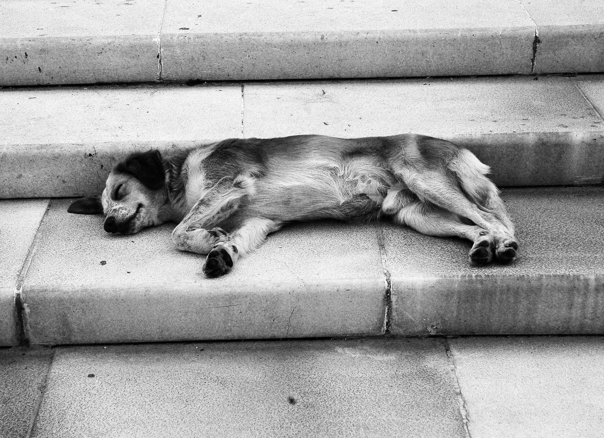 No one is disturbing me ,,,