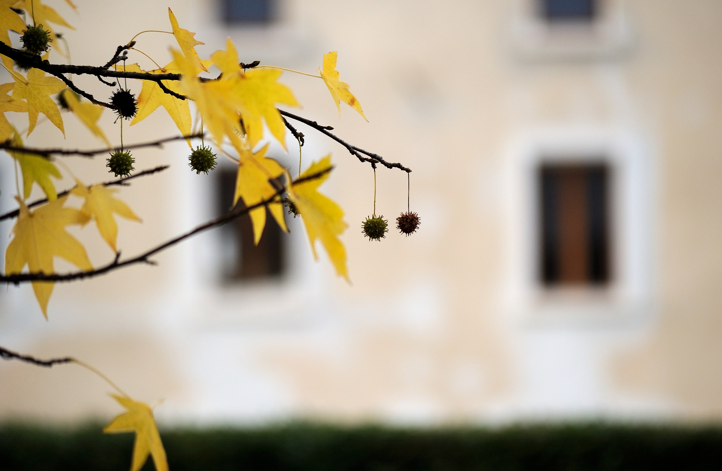 Autunno_1