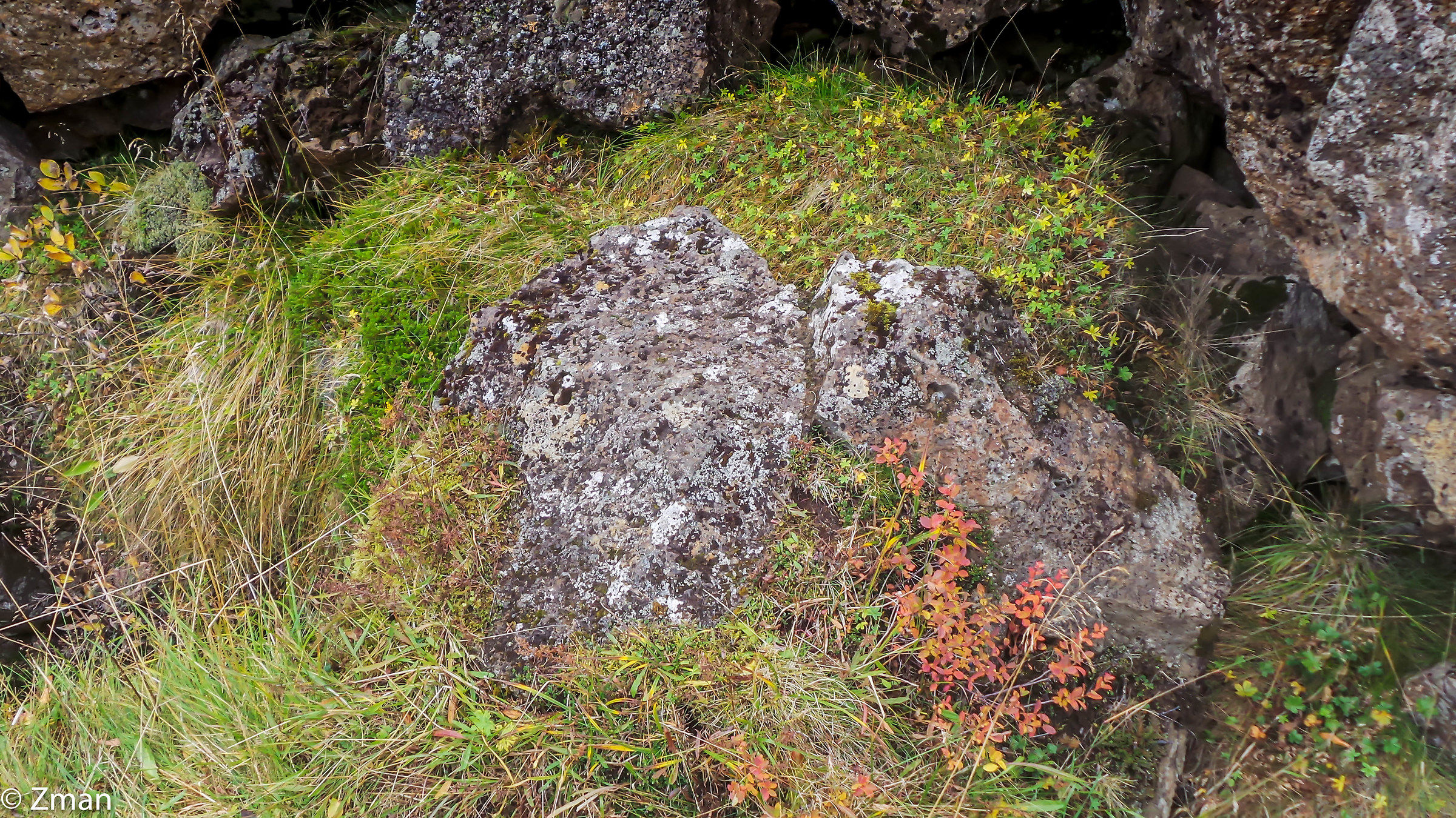 La Crack vicino Thingvellir