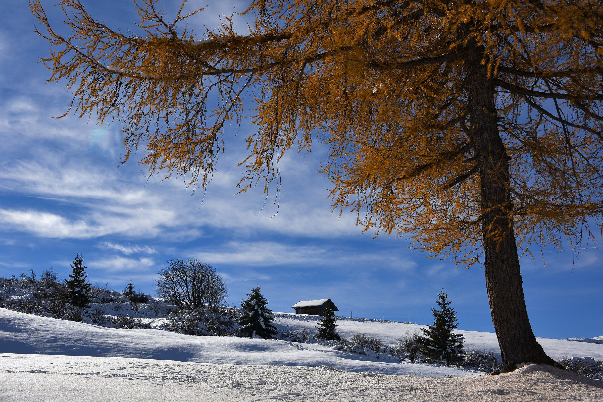 Alps of Siusi