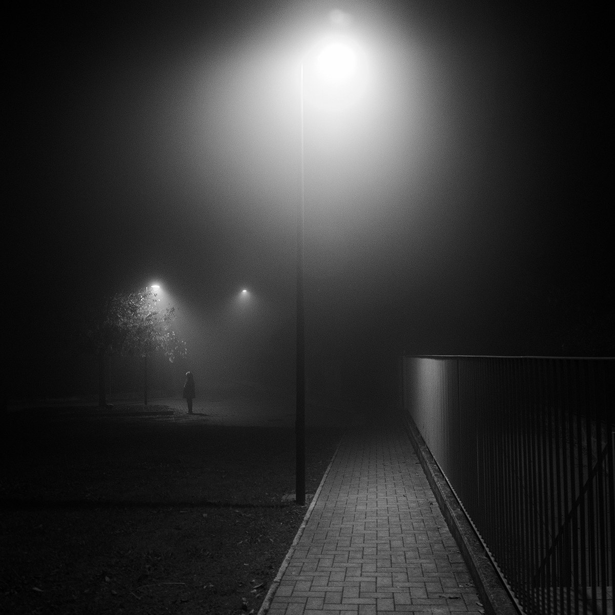 Foggy evening
