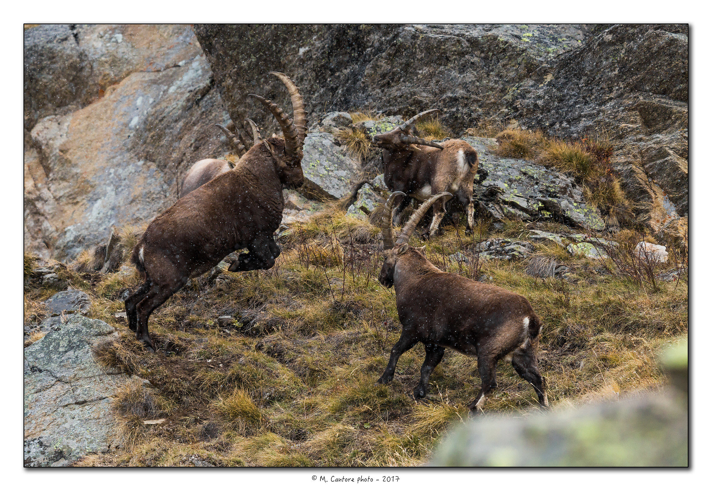 You continue to be tested with the snow - 2