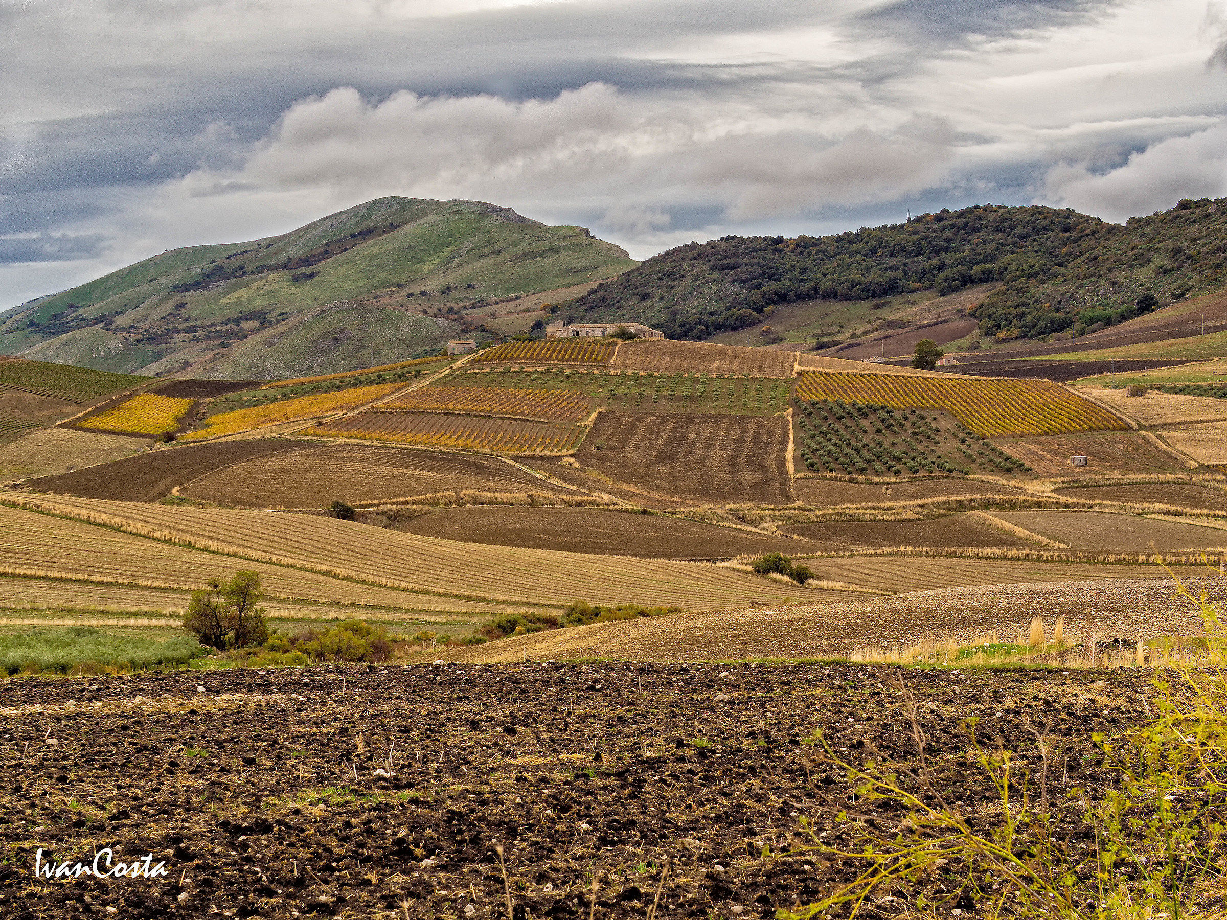 Sicilian Autumnal Handkerchiefs