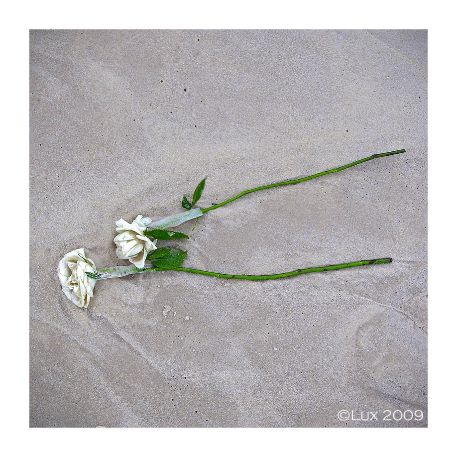 End of a Love Affair