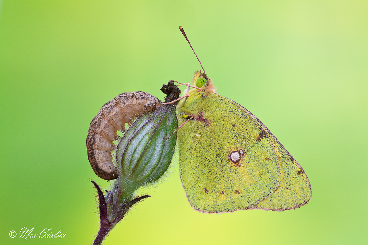 Hey, the alarm clock stopping us!