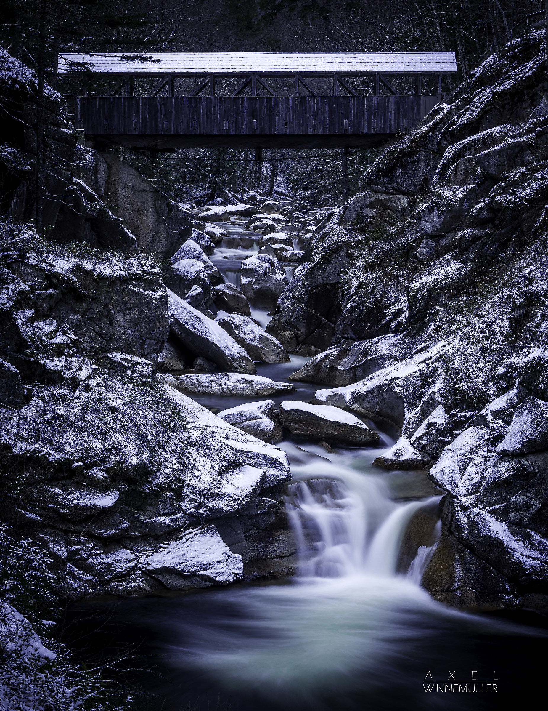 Sentinel Pine Bridge, Montagne Bianche, New Hampshire