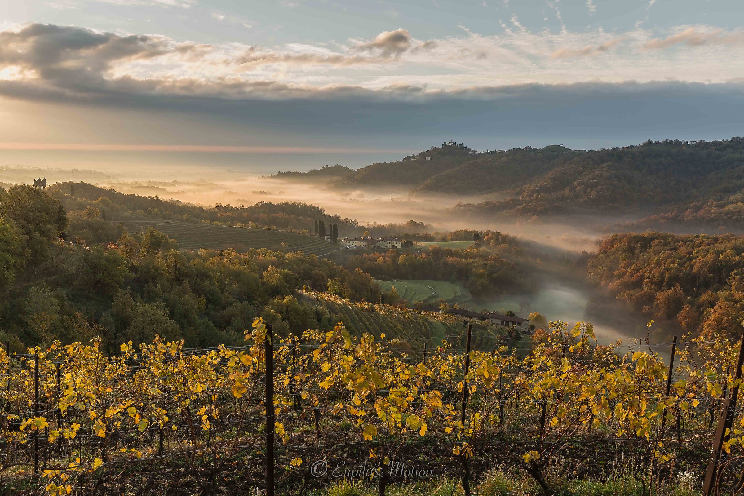 Cypresses, hills, vineyards ...... Montevecchia