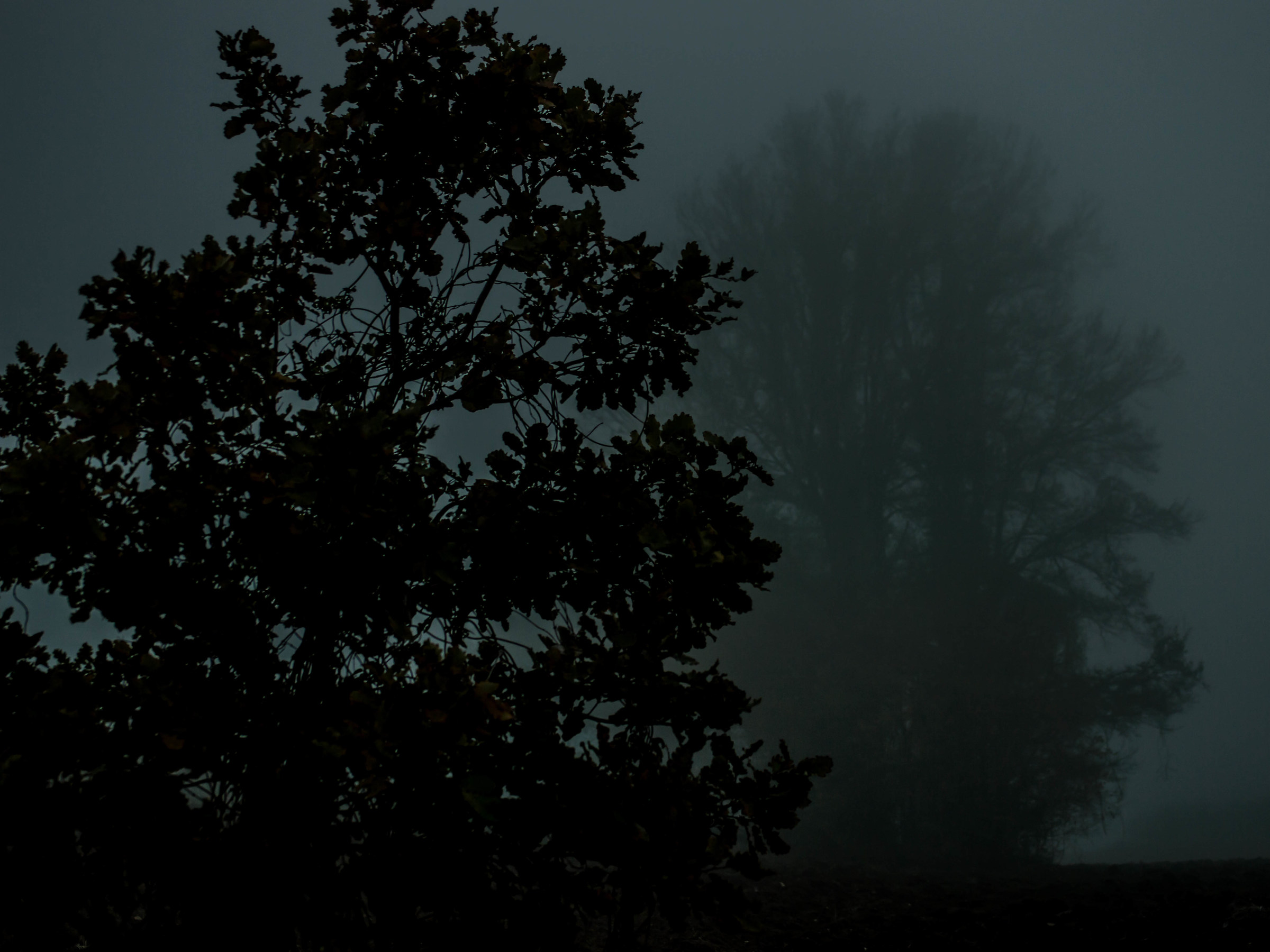 shadows in the tooth?