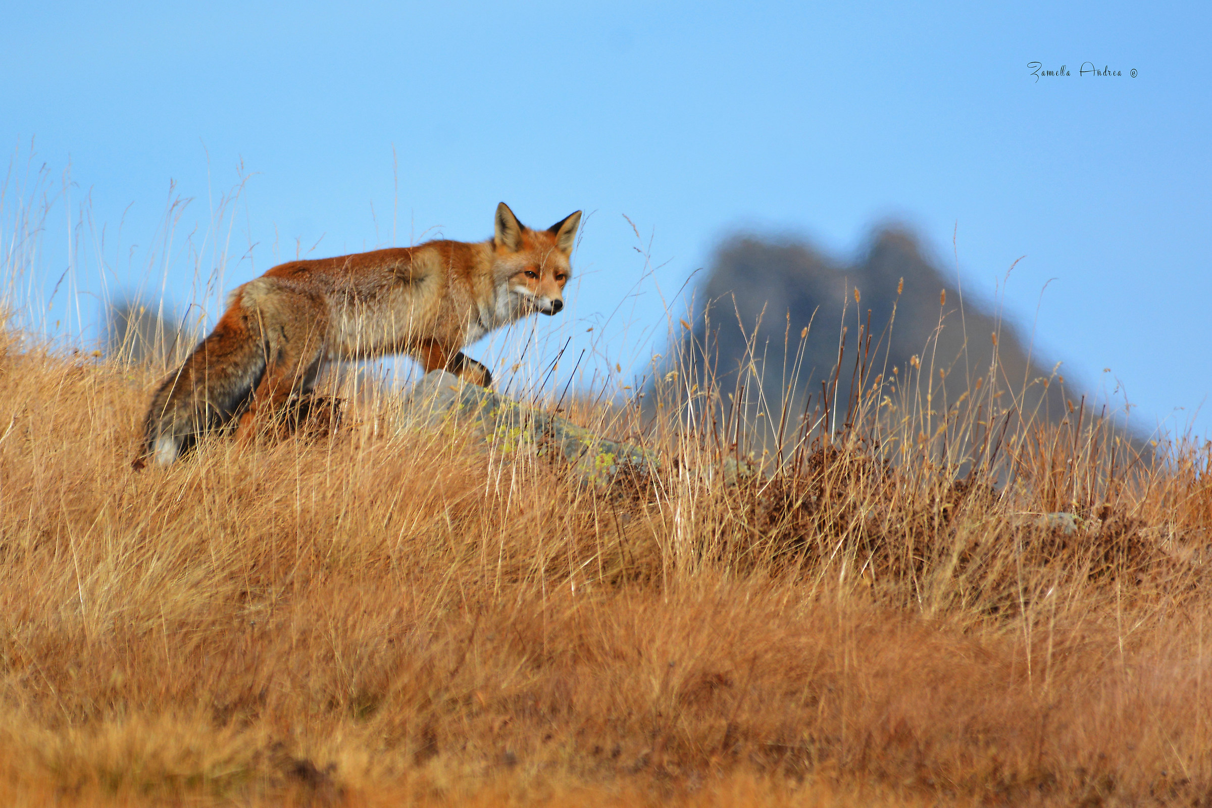 Camminando sull'orizzonte