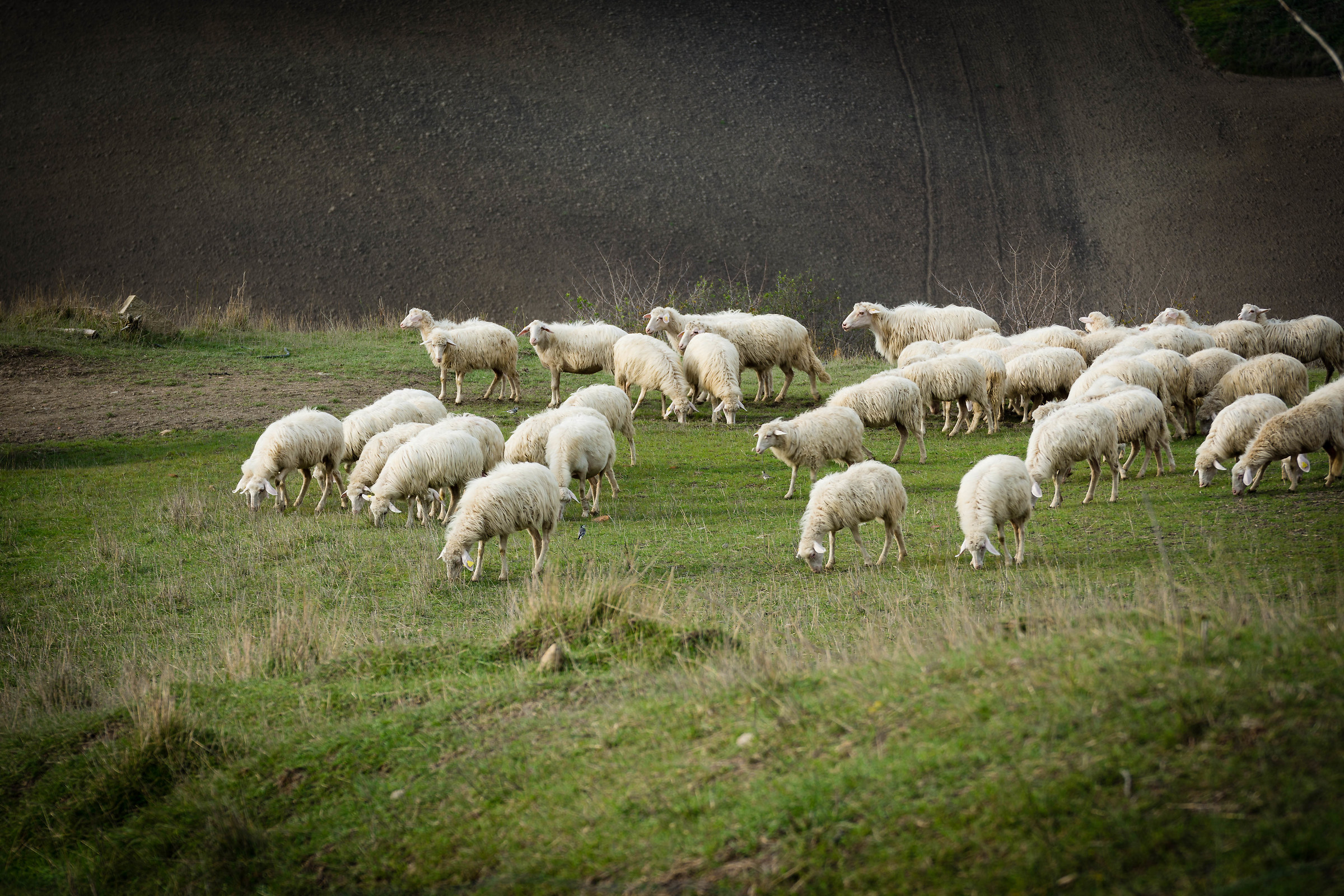 The appetite comes eating