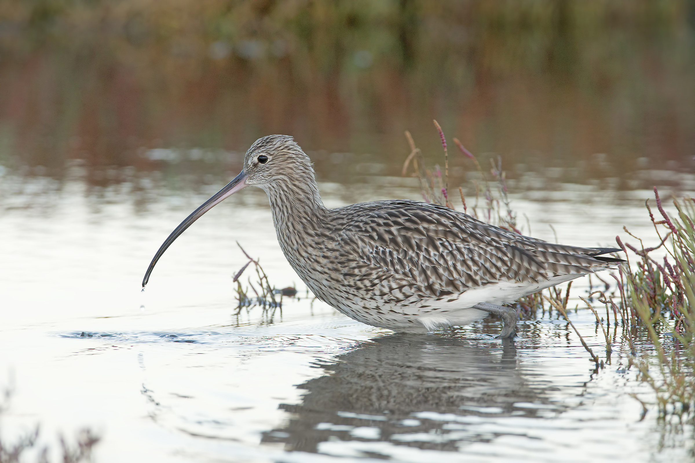 chiurlo....praticamente al buio