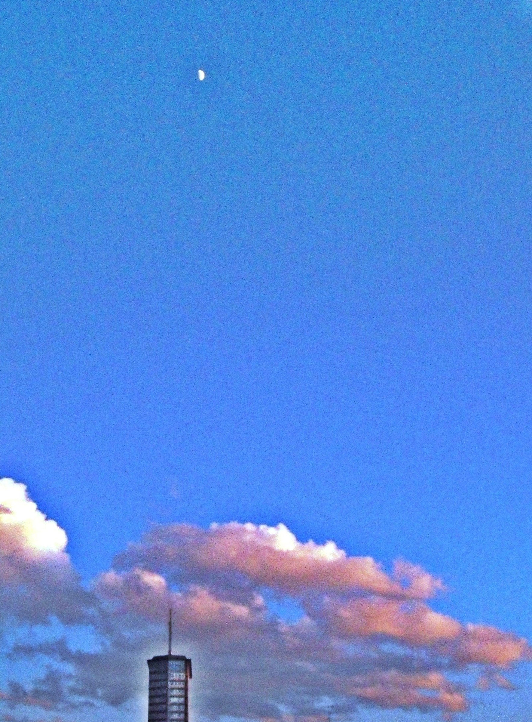 2991 - shy attempt to elevate - MI Milan