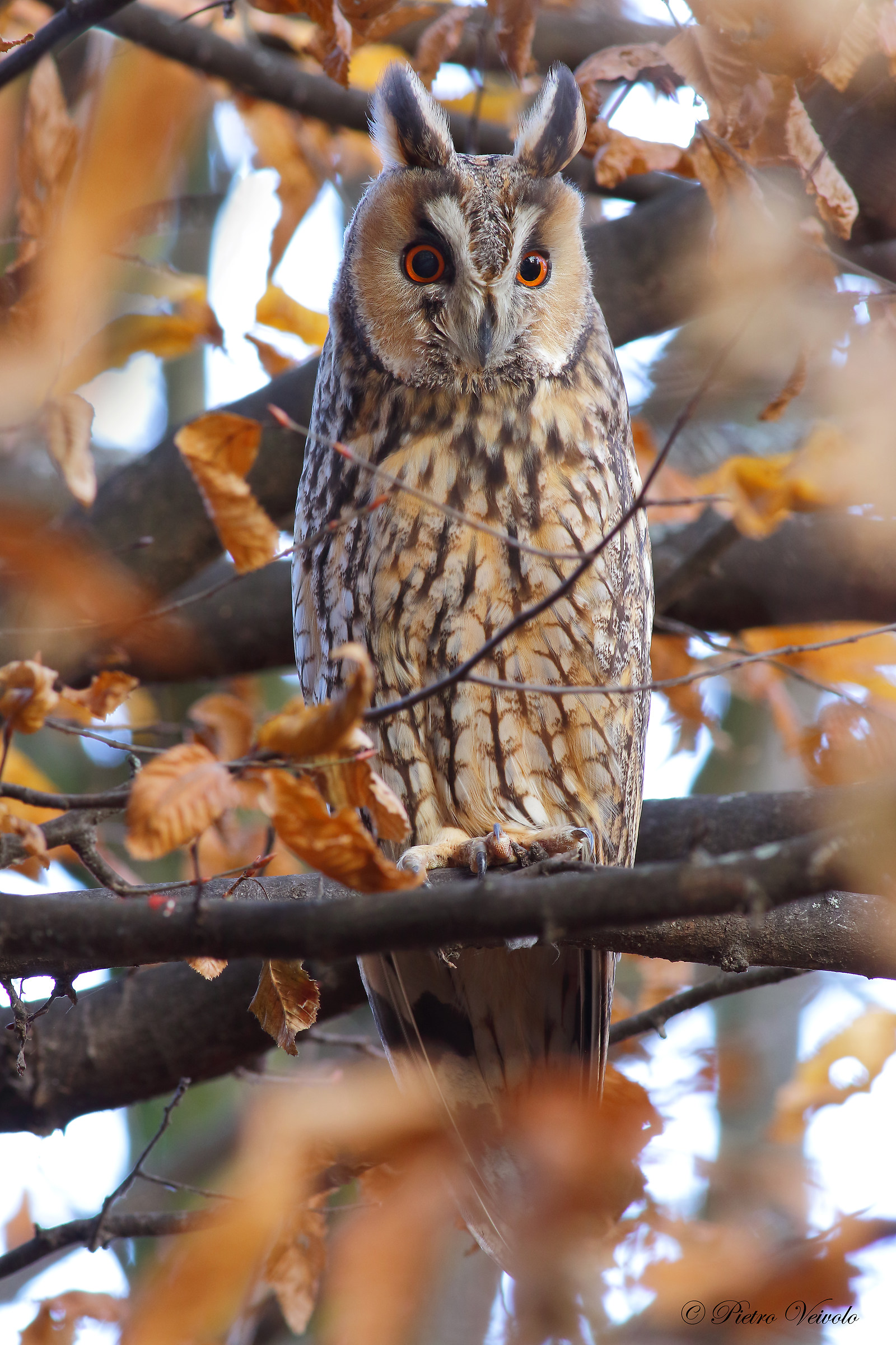 Nobody will see me here!