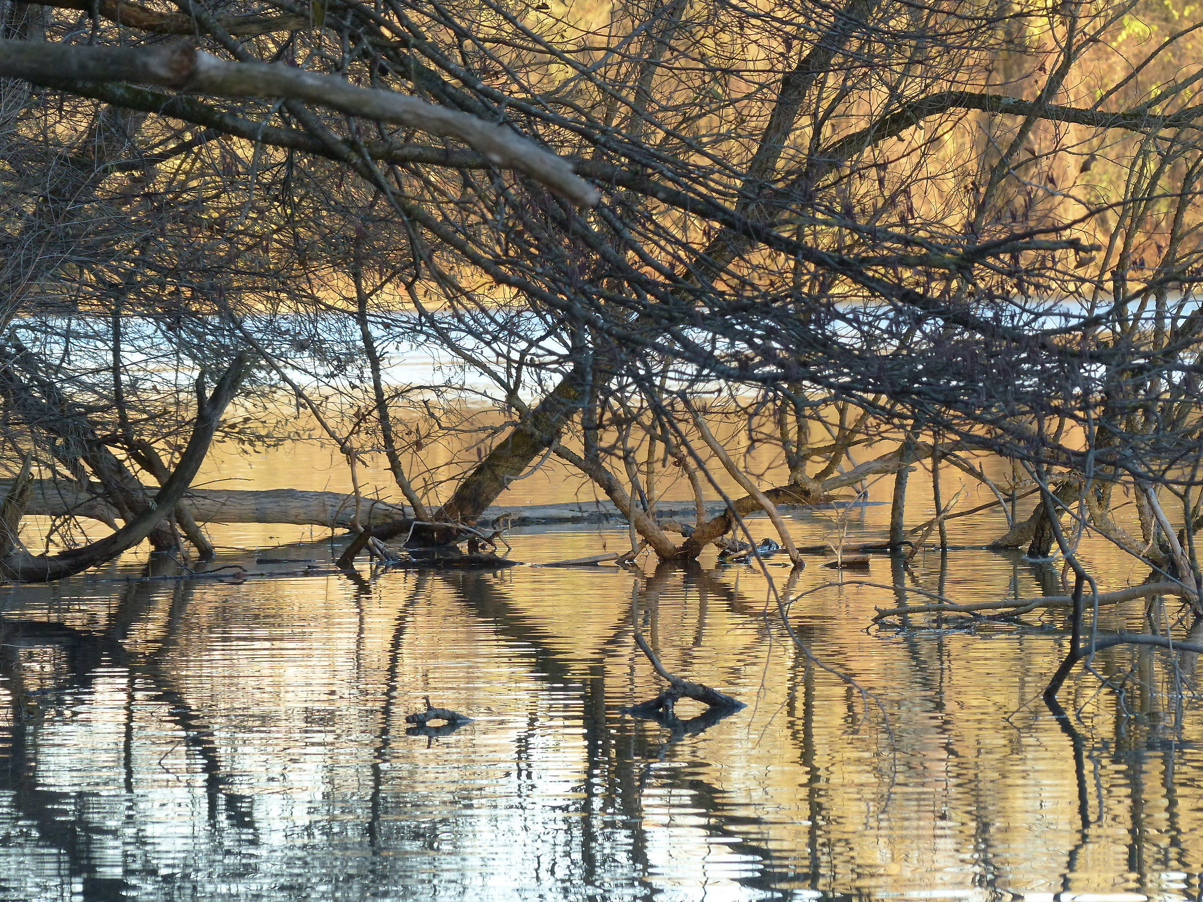 il sole stà calando