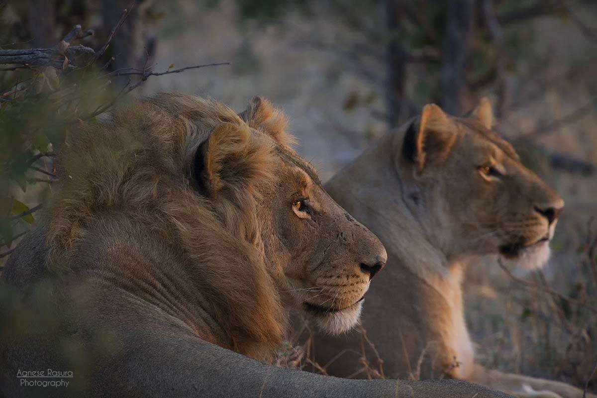 Behind every great man there is always a great woman