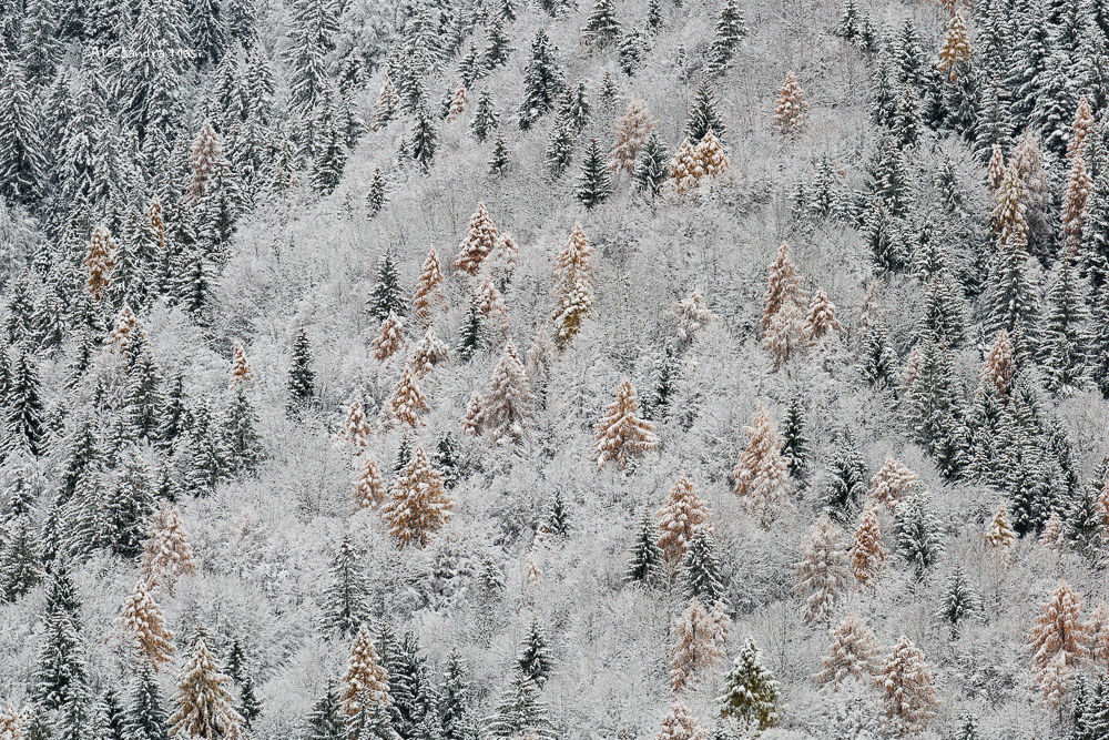 When autumn meets winter