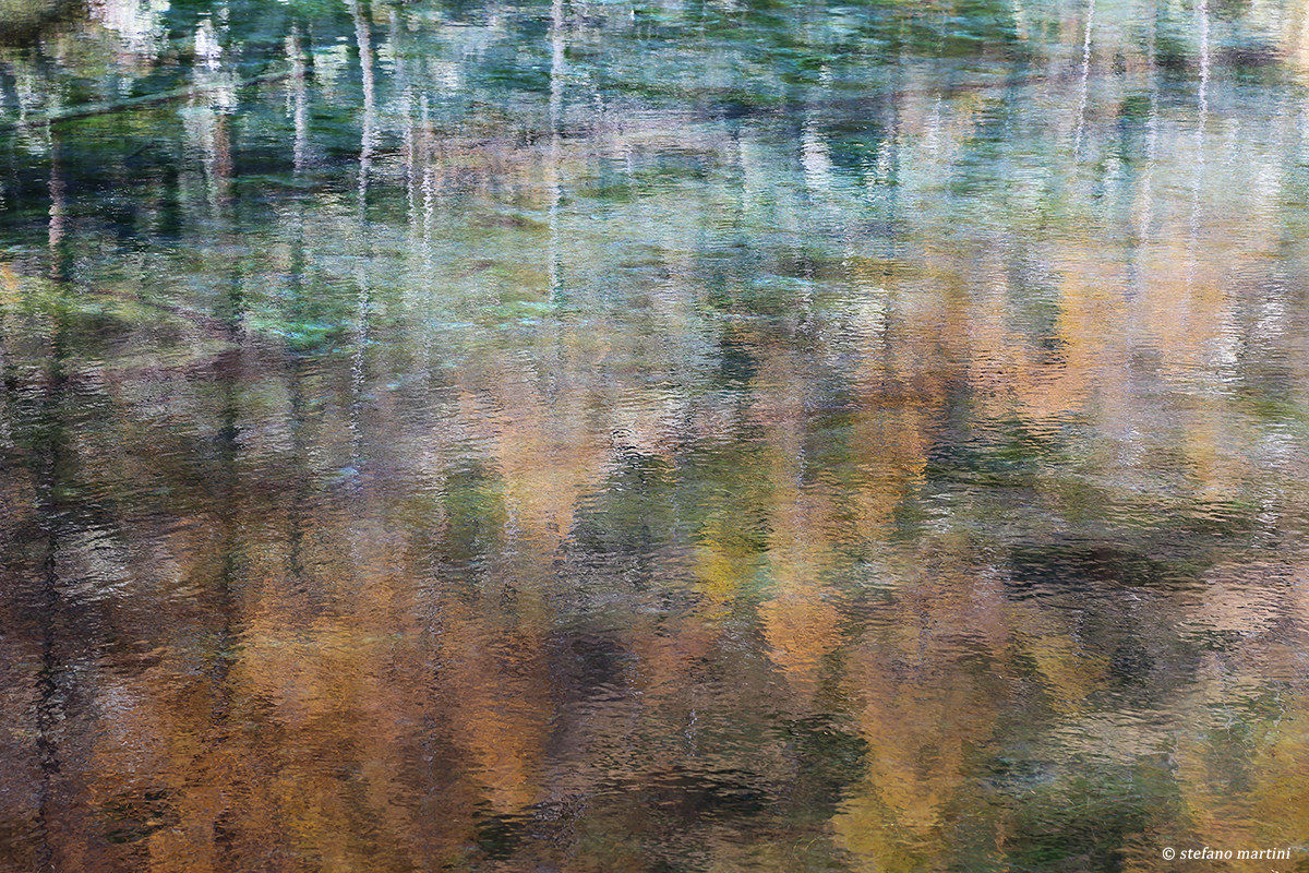 Picture or Reflection?