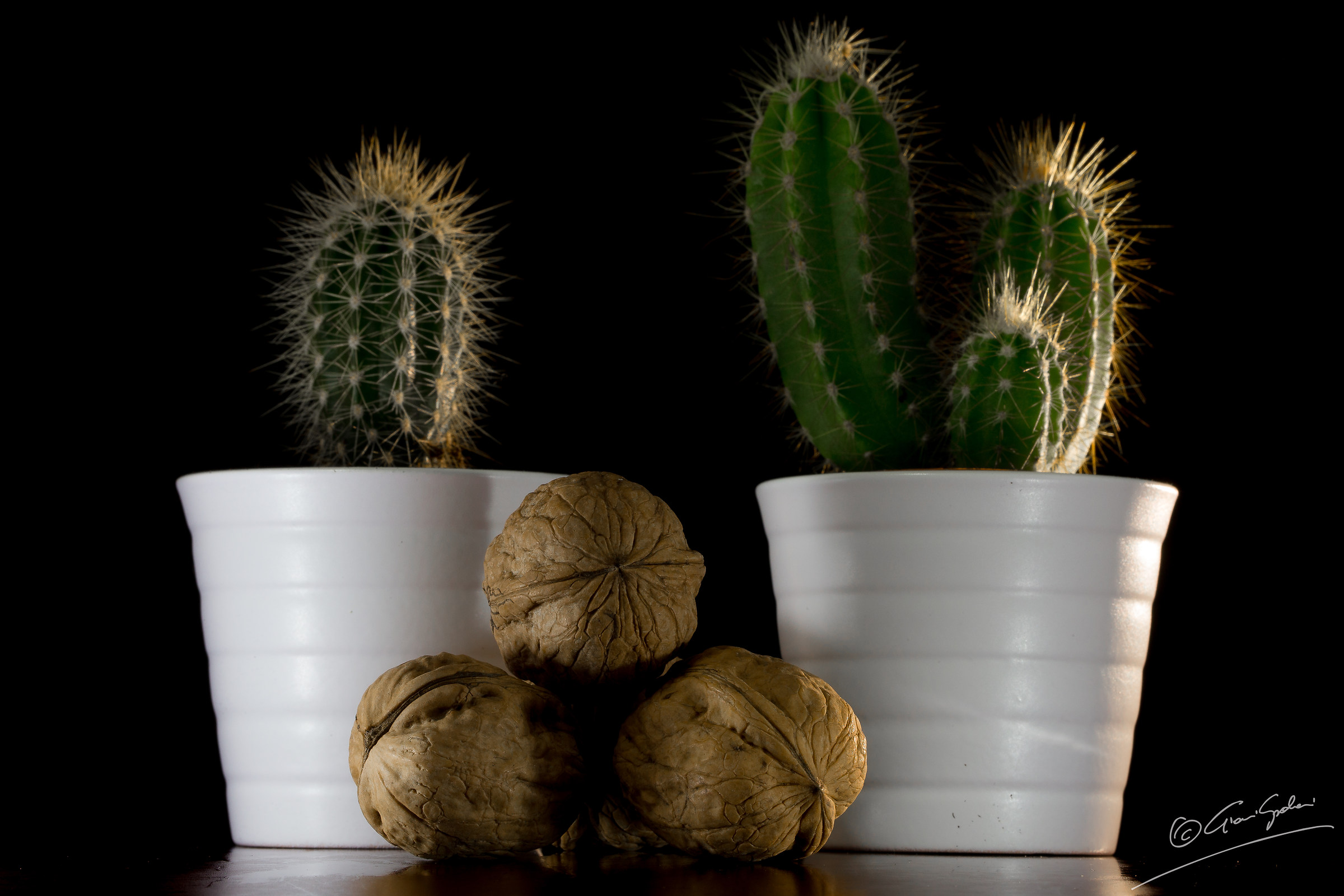 California casalinga!