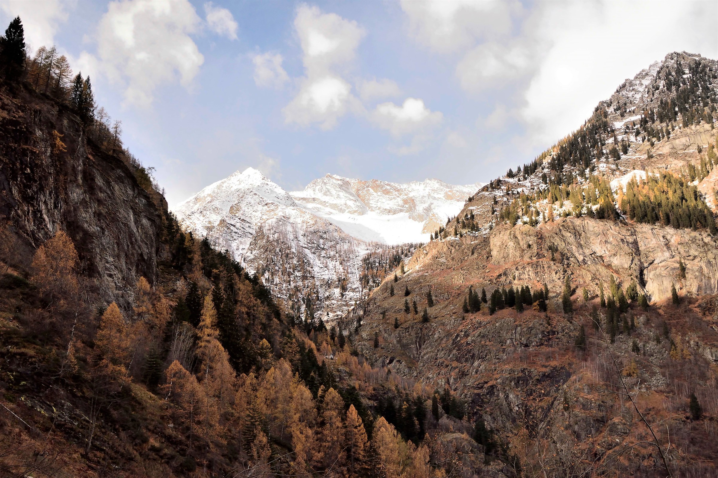 along the return route to Ant Lake